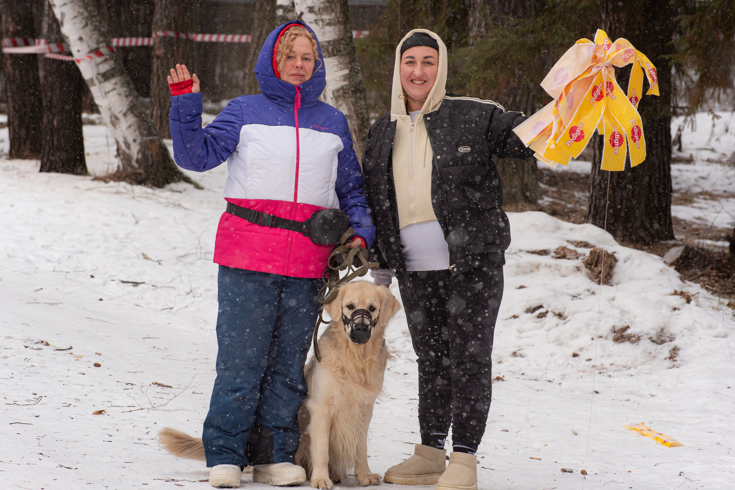 Фотосъёмка с собаками в Кинологическом лагере. Фотограф Макс Огурцов в Нижнем Новгороде