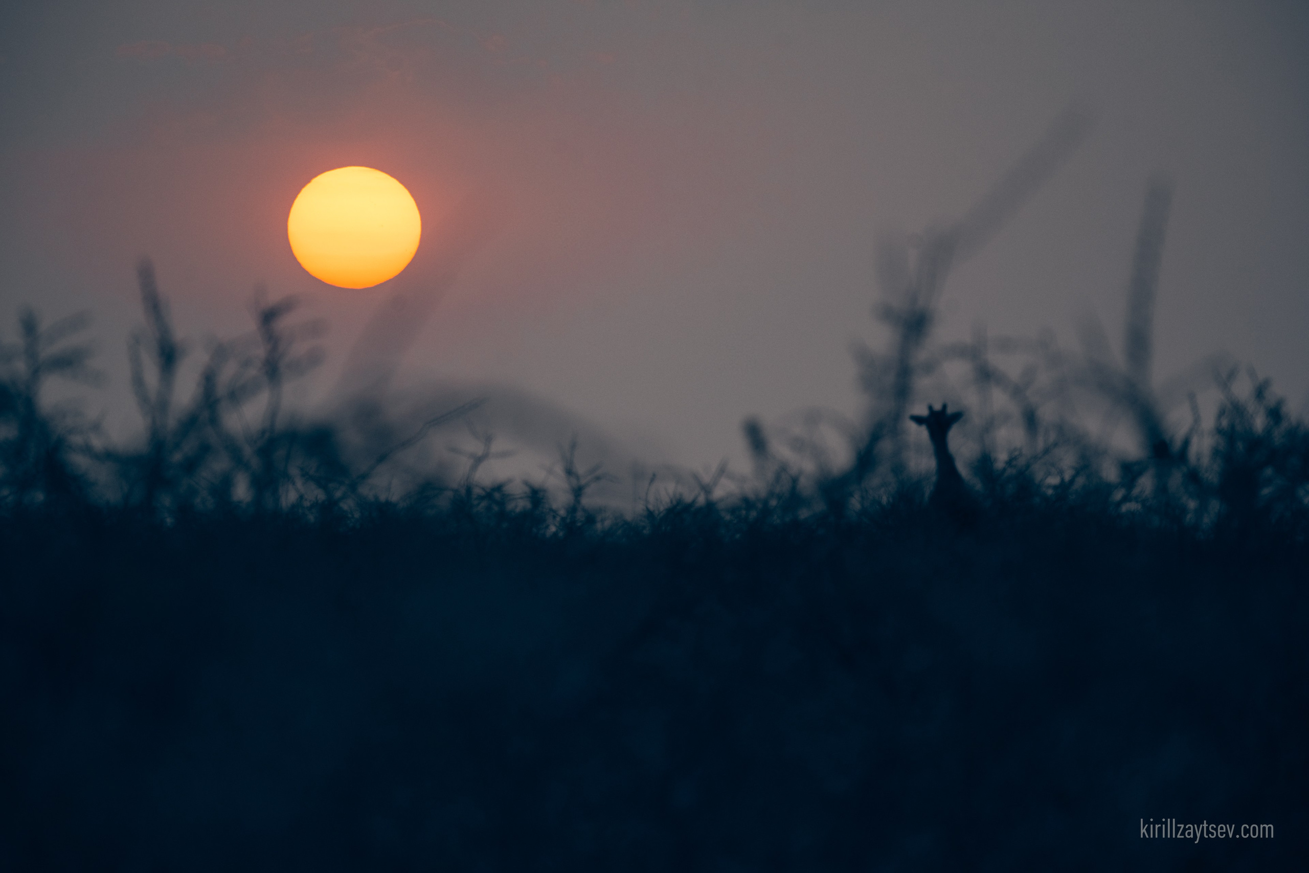 Жизнь. Профессиональный фотограф Кирилл Зайцев