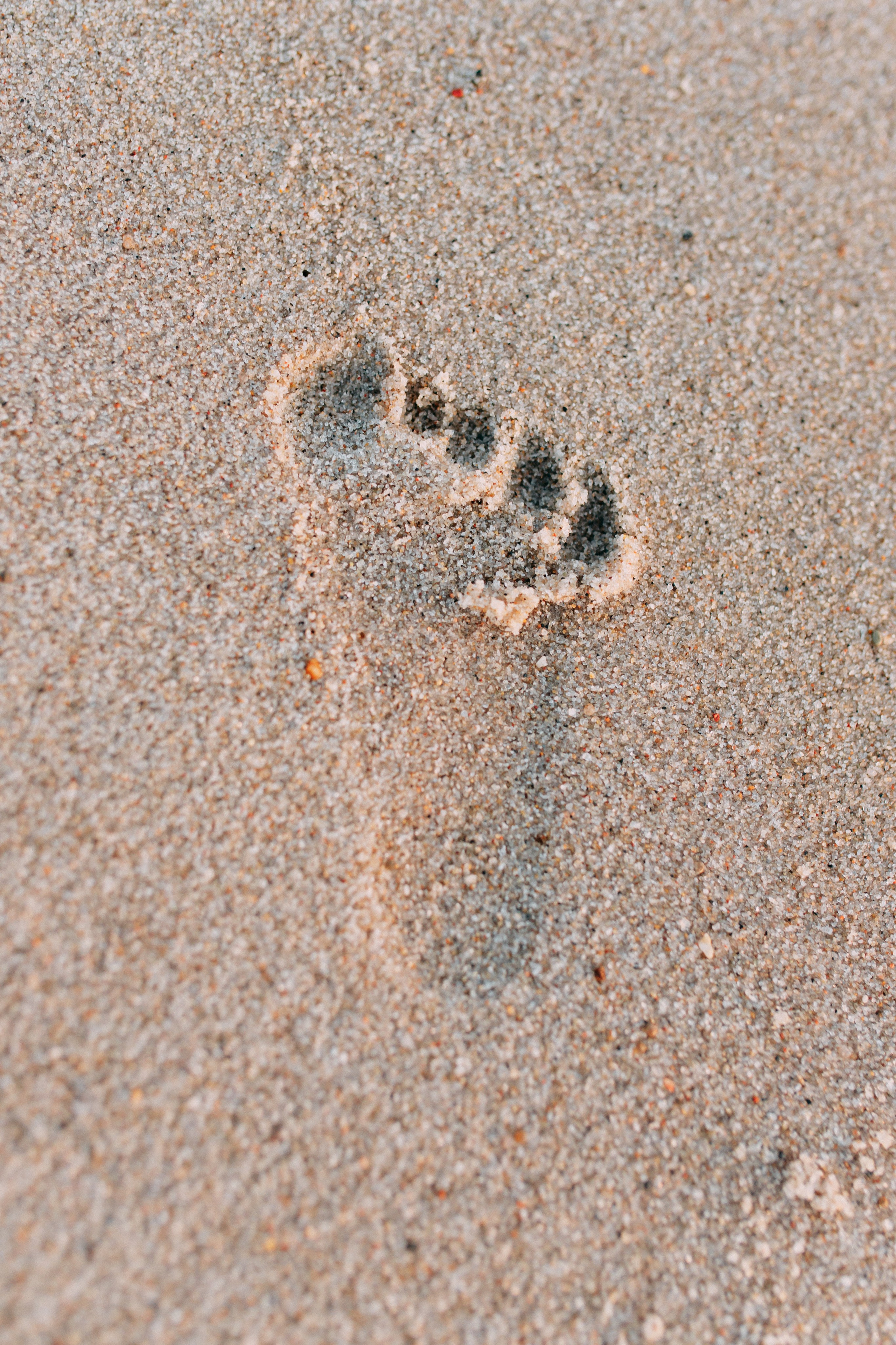 Фотосессия в Янтарном. Фотограф в Калининграде Екатерина Осинцева