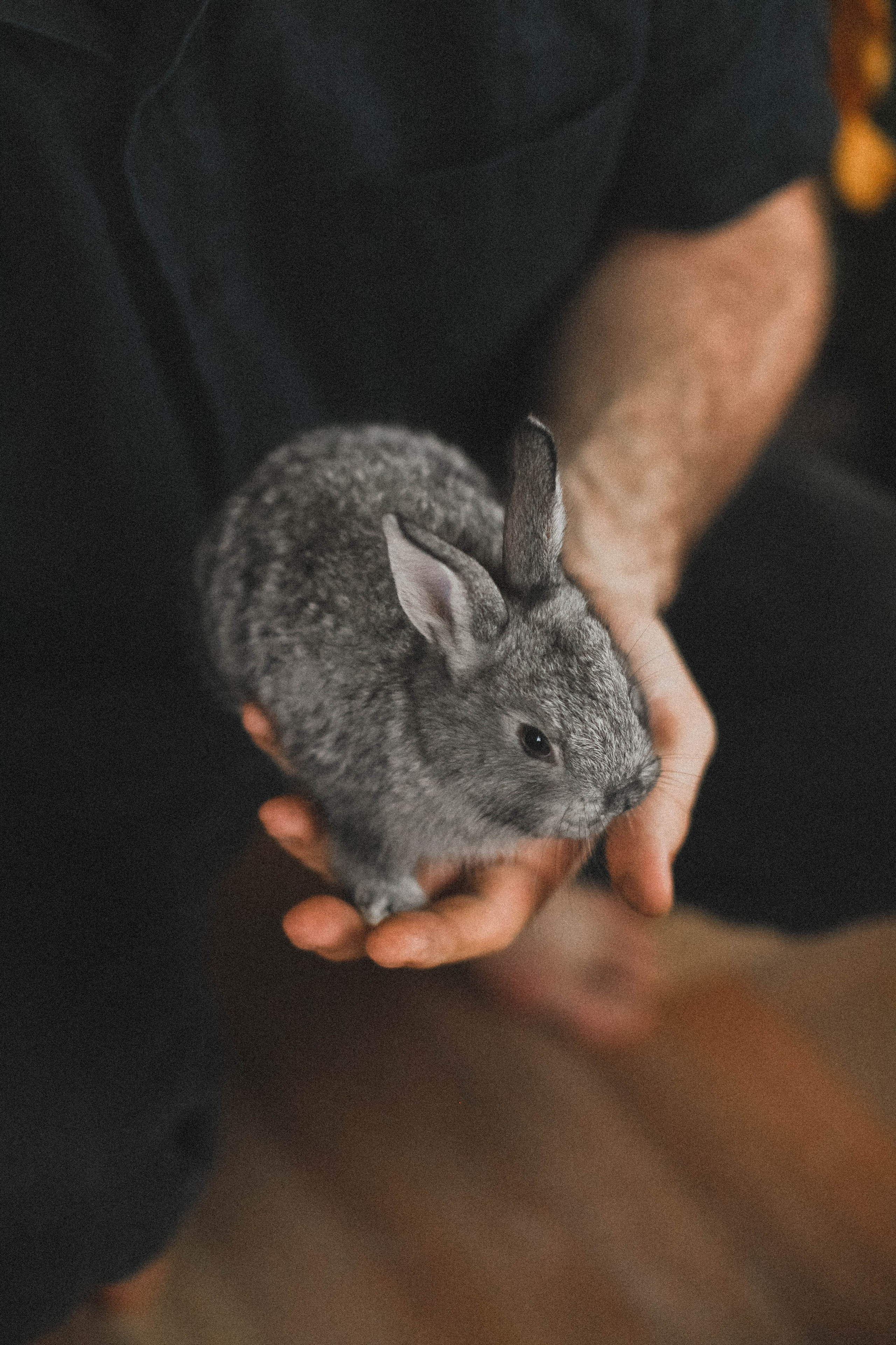 Семейные съемки