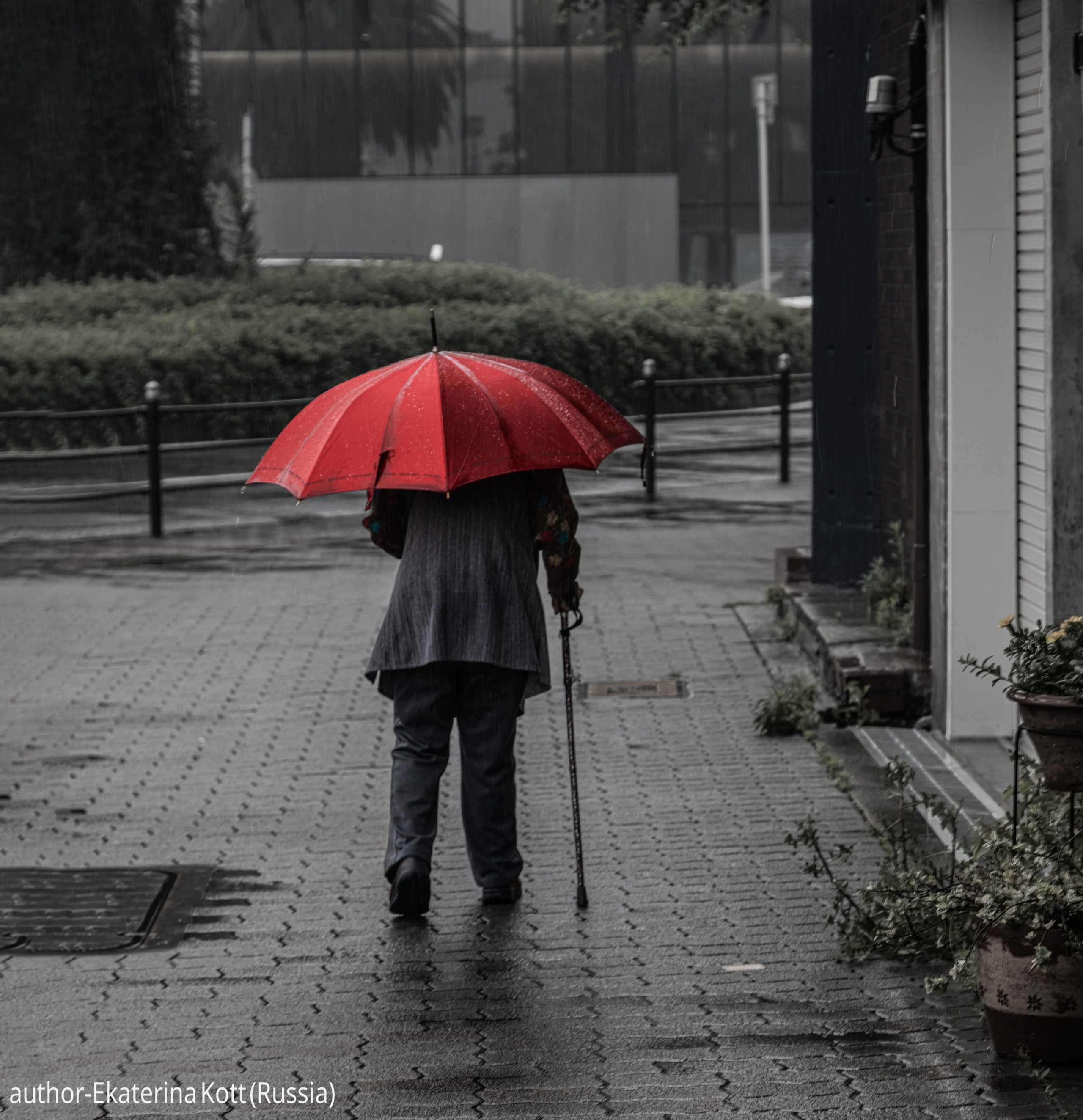 Gallery. UNUSUAL TALENT magazine