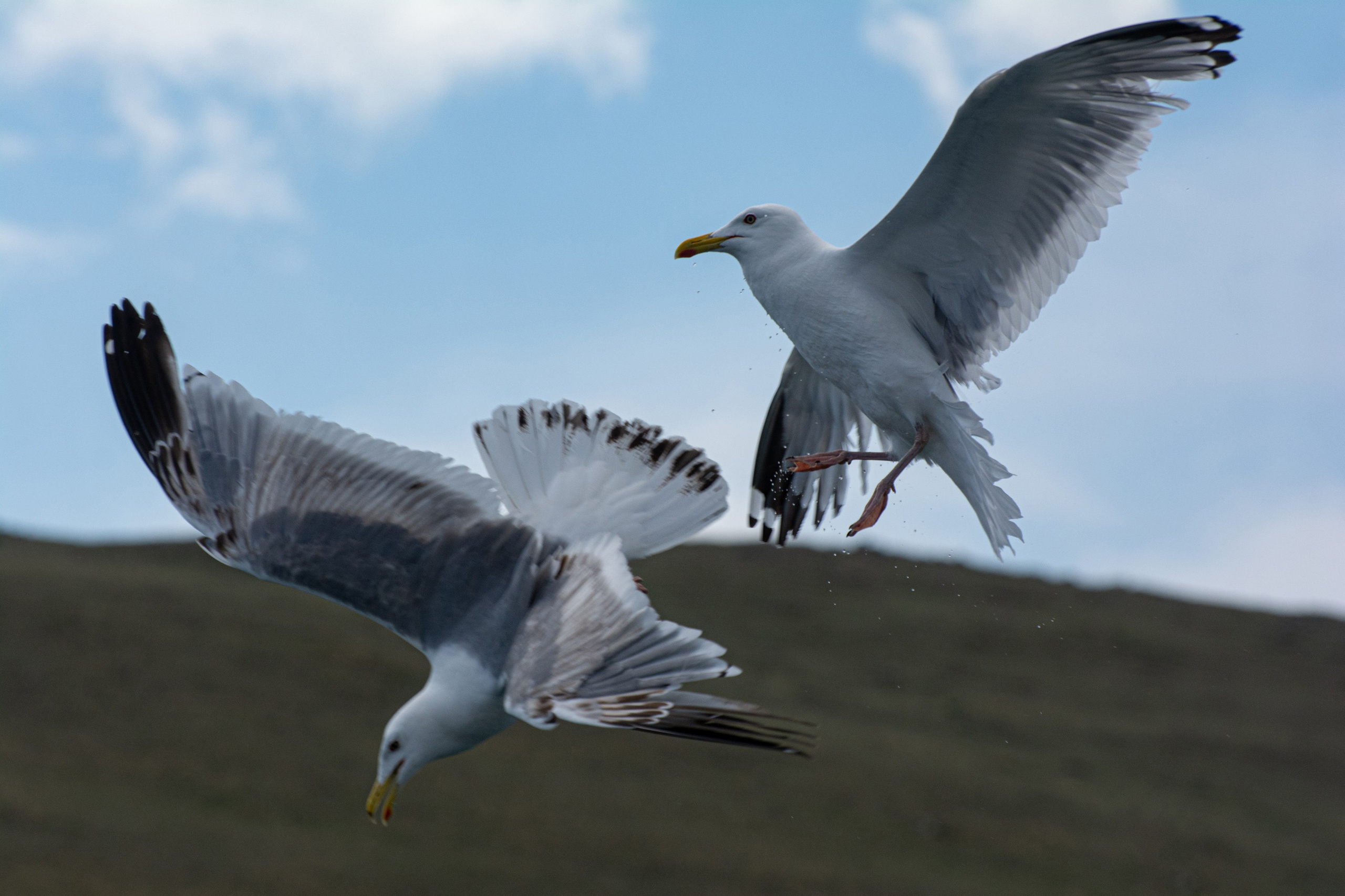 Конфуз. Свободный фотохудожник из Иркутска