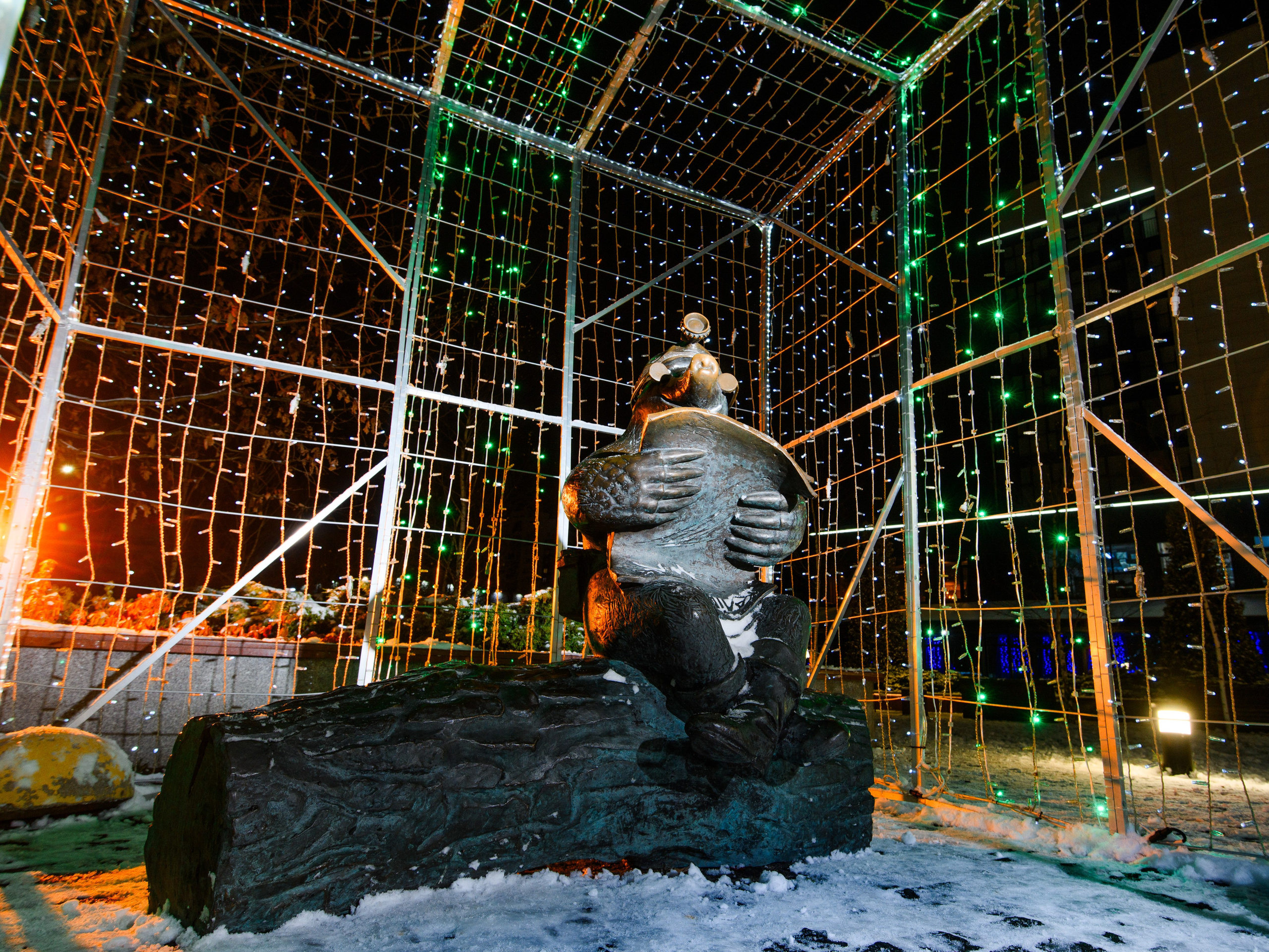 Новогодние украшения 2026. Фотограф Олег Юршевич Солигорск Минск