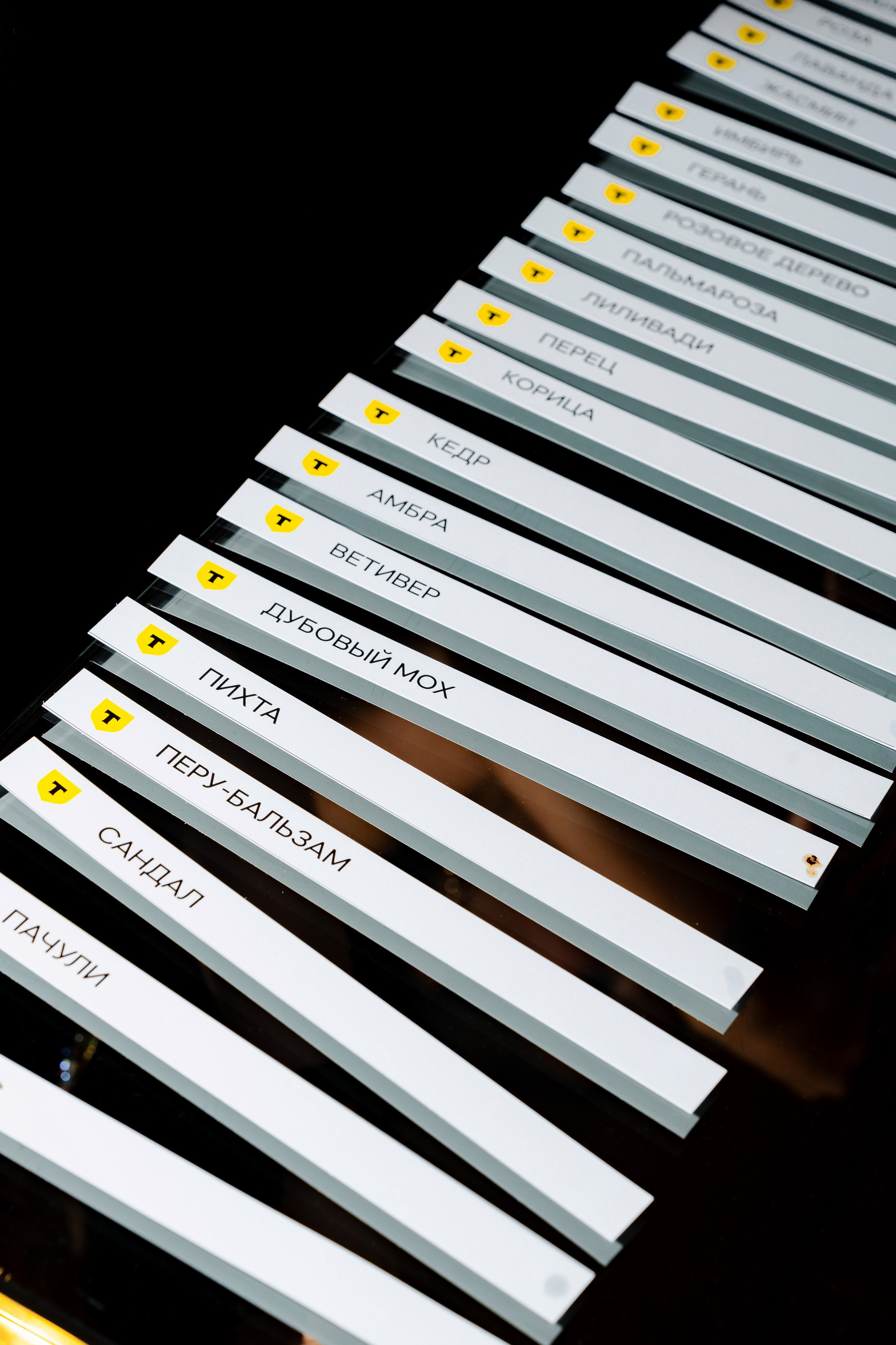 Т-БАНК | Путешествия. Андрей Цветков — репортажный, свадебный и портретный фотограф в Санкт-Петербурге