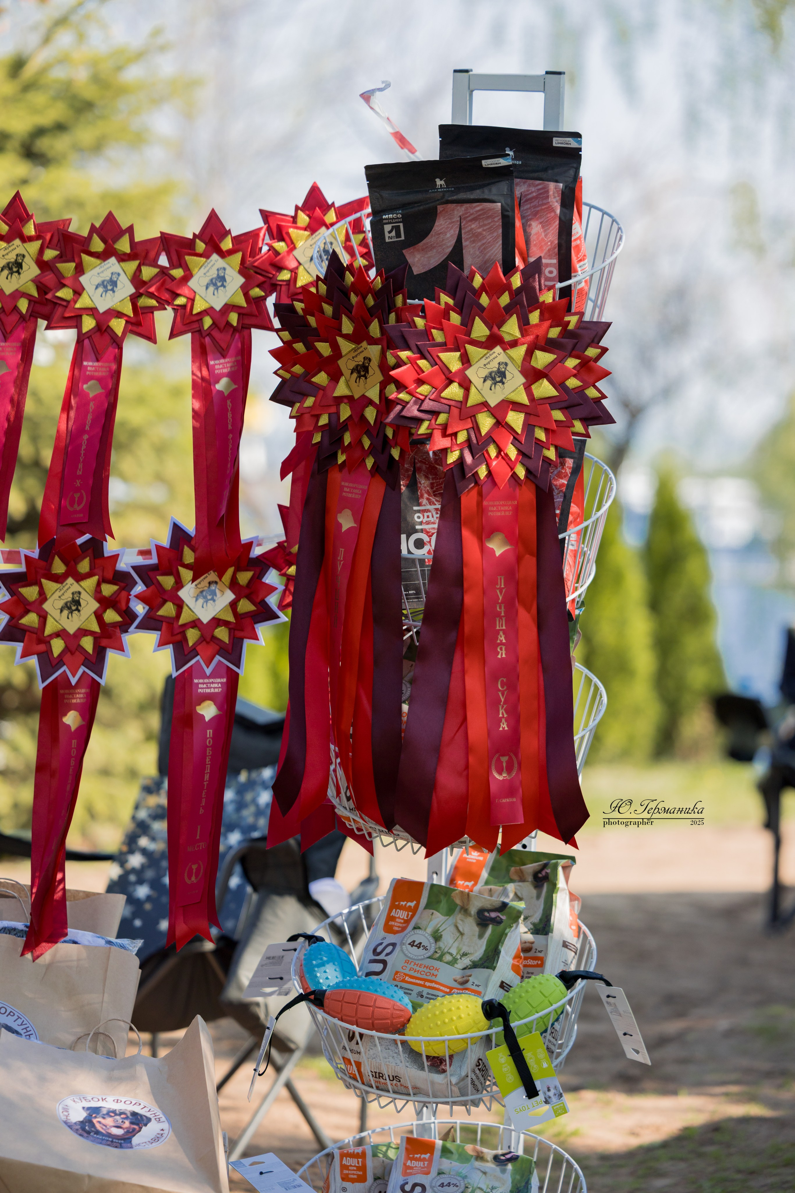 Саратов моно ротвейлеров 26-27.04.2025. Фотограф-анималист Юлия Германика