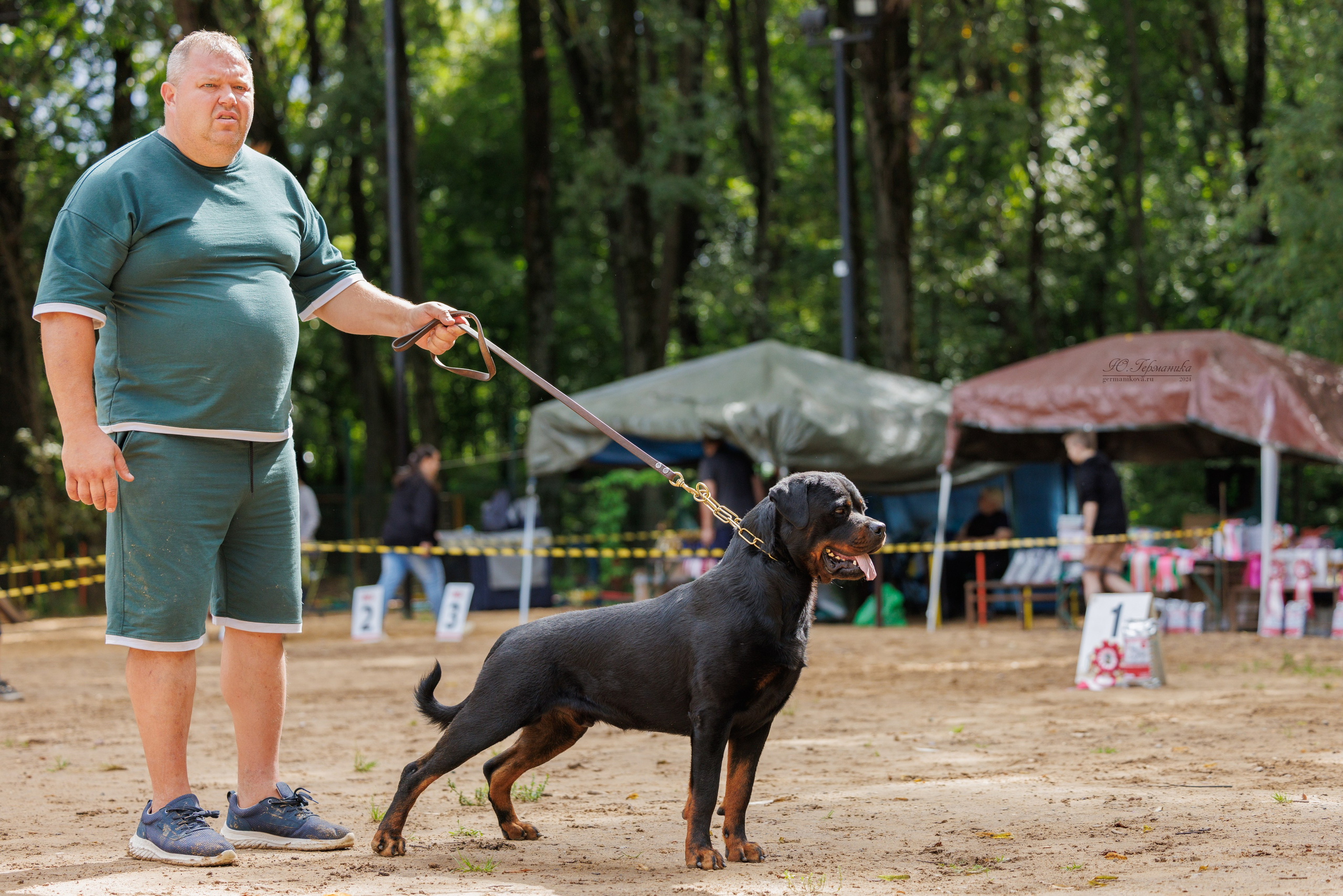 Рязань-Ховрино 10-11.08.2024 3хмоно ротвейлеров. Фотограф-анималист Юлия Германика