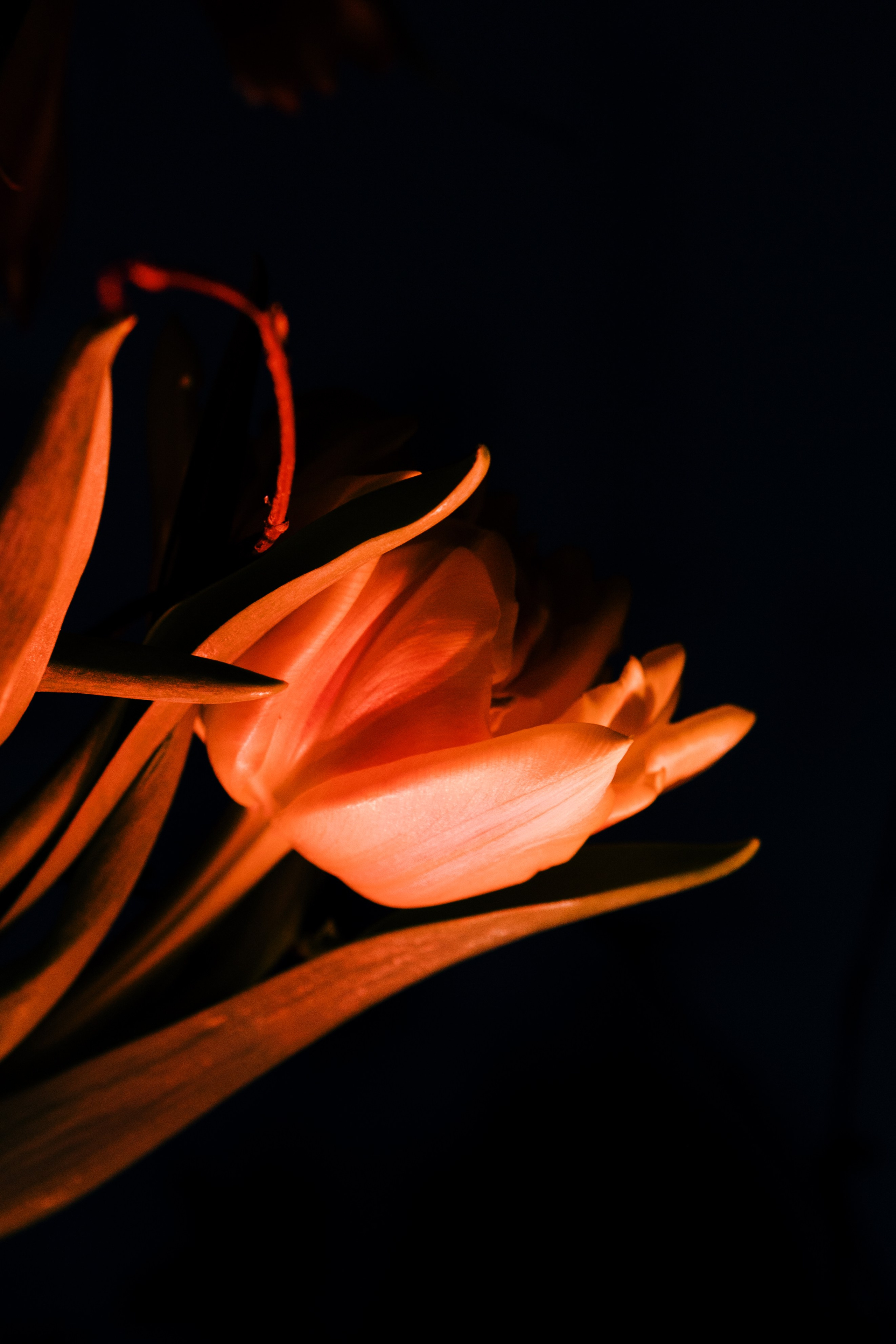 AUXI Noise 24. Fashion Фотограф в СПб Yana Kochkina