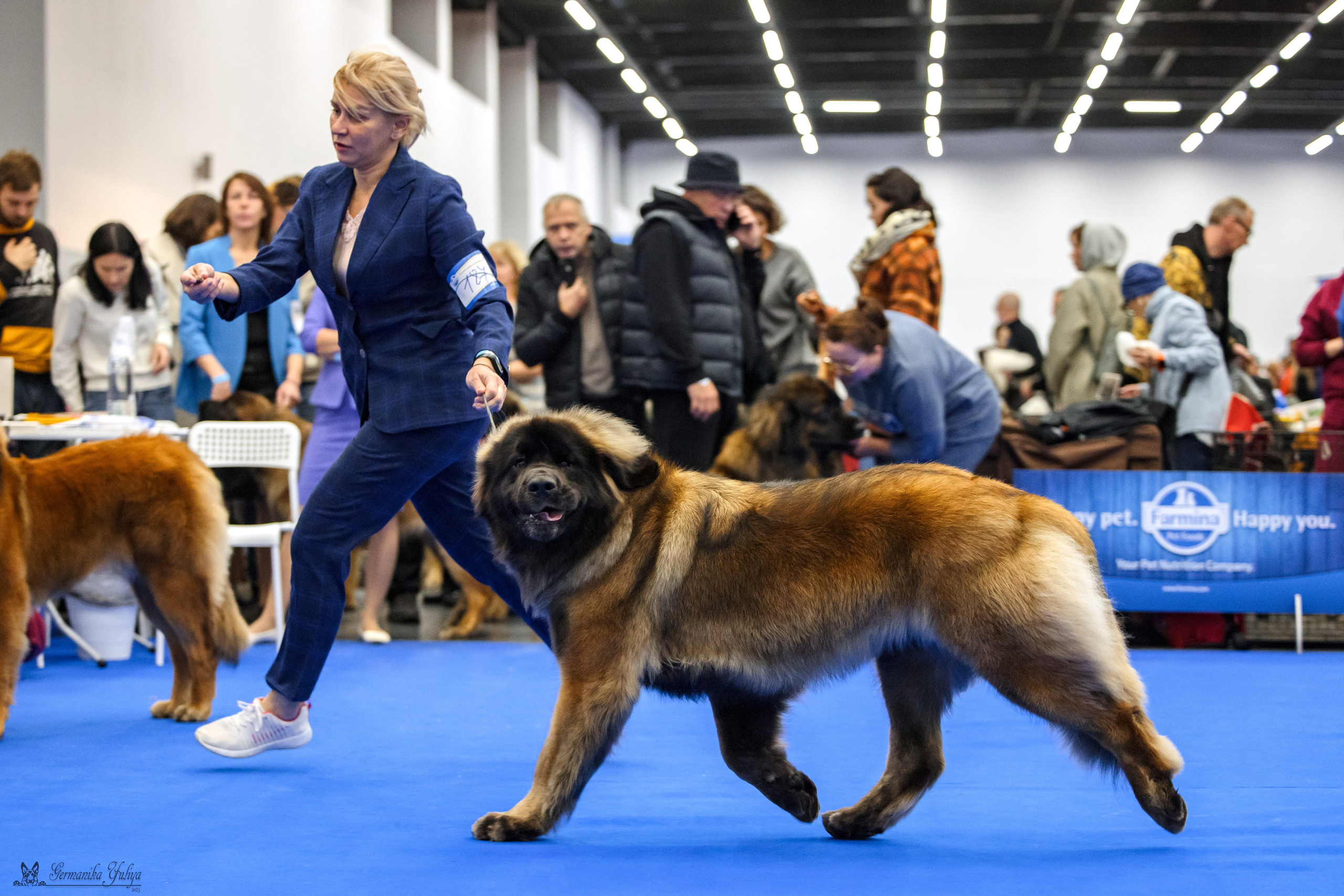 Нижний Новгород 21-22.10.2023. Фотограф-анималист Юлия Германика