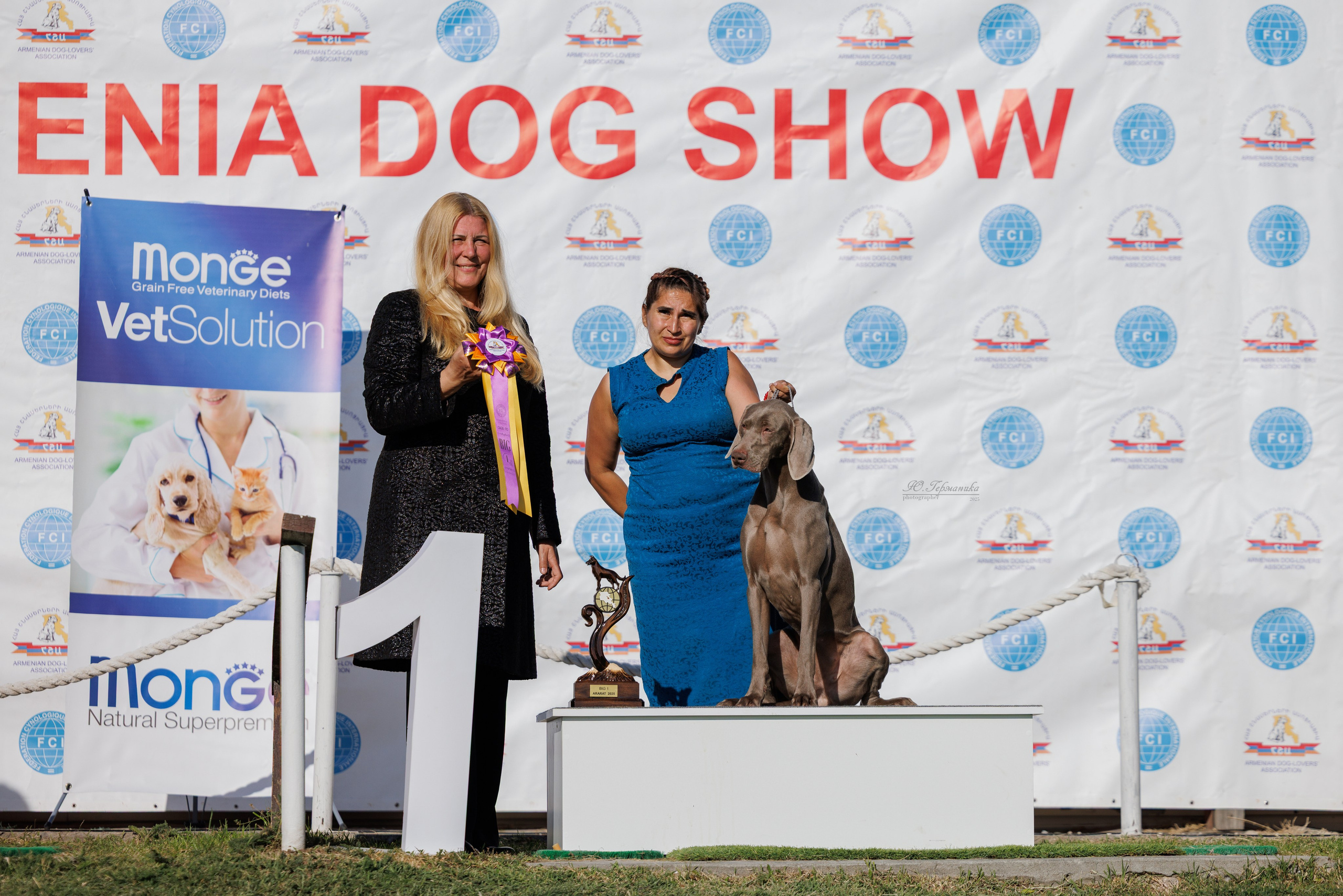 Ереван 14-16.10.2025. Фотограф-анималист Юлия Германика