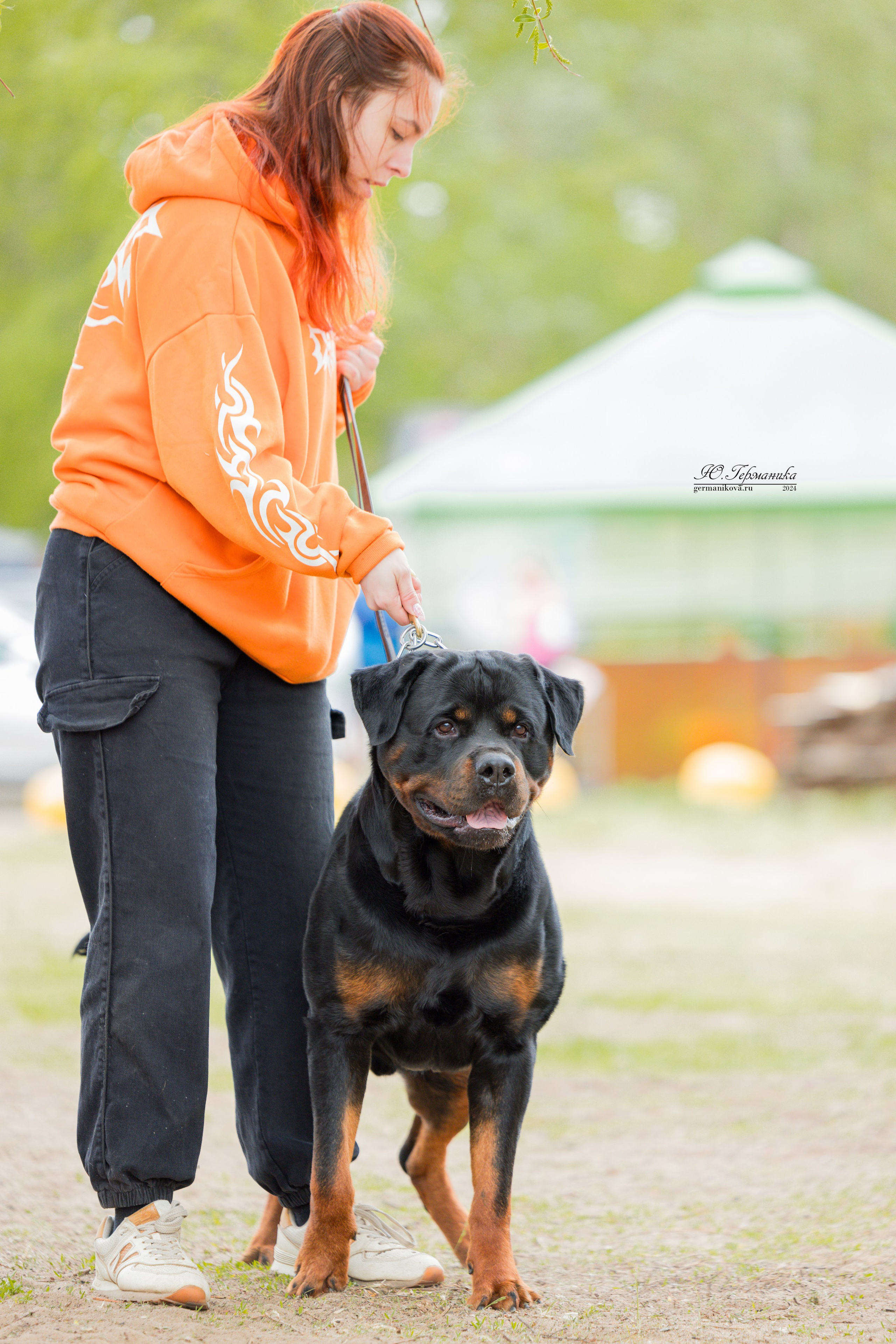 Саратов 2 х моно ротвейлеров 28-29.04.2024. Фотограф-анималист Юлия Германика