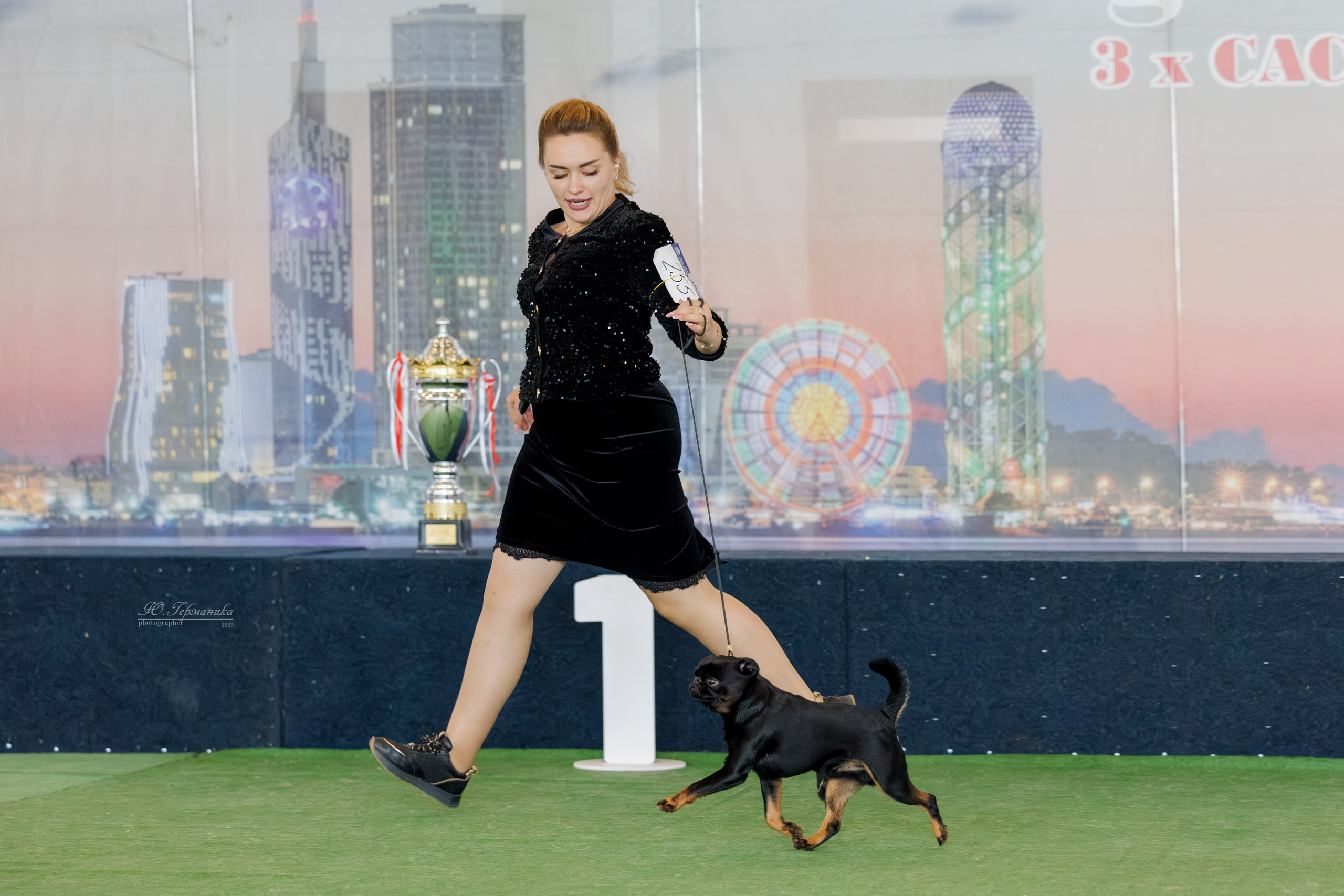 Батуми 3хCACIB 27-29.06.2025. Фотограф-анималист Юлия Германика