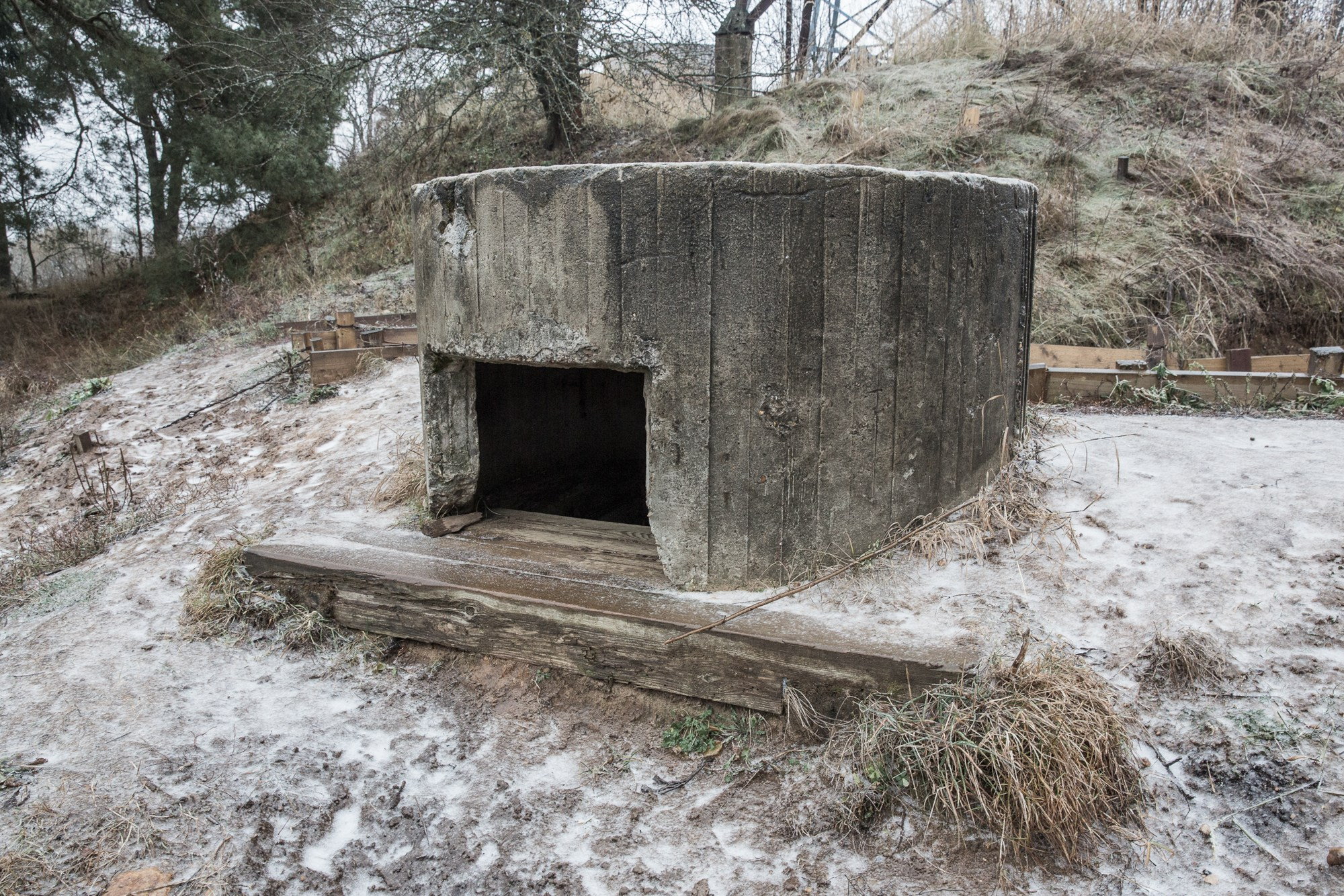 Мы прорастем травой. Yulia Nevskaya, documentary photographer and photojournalist