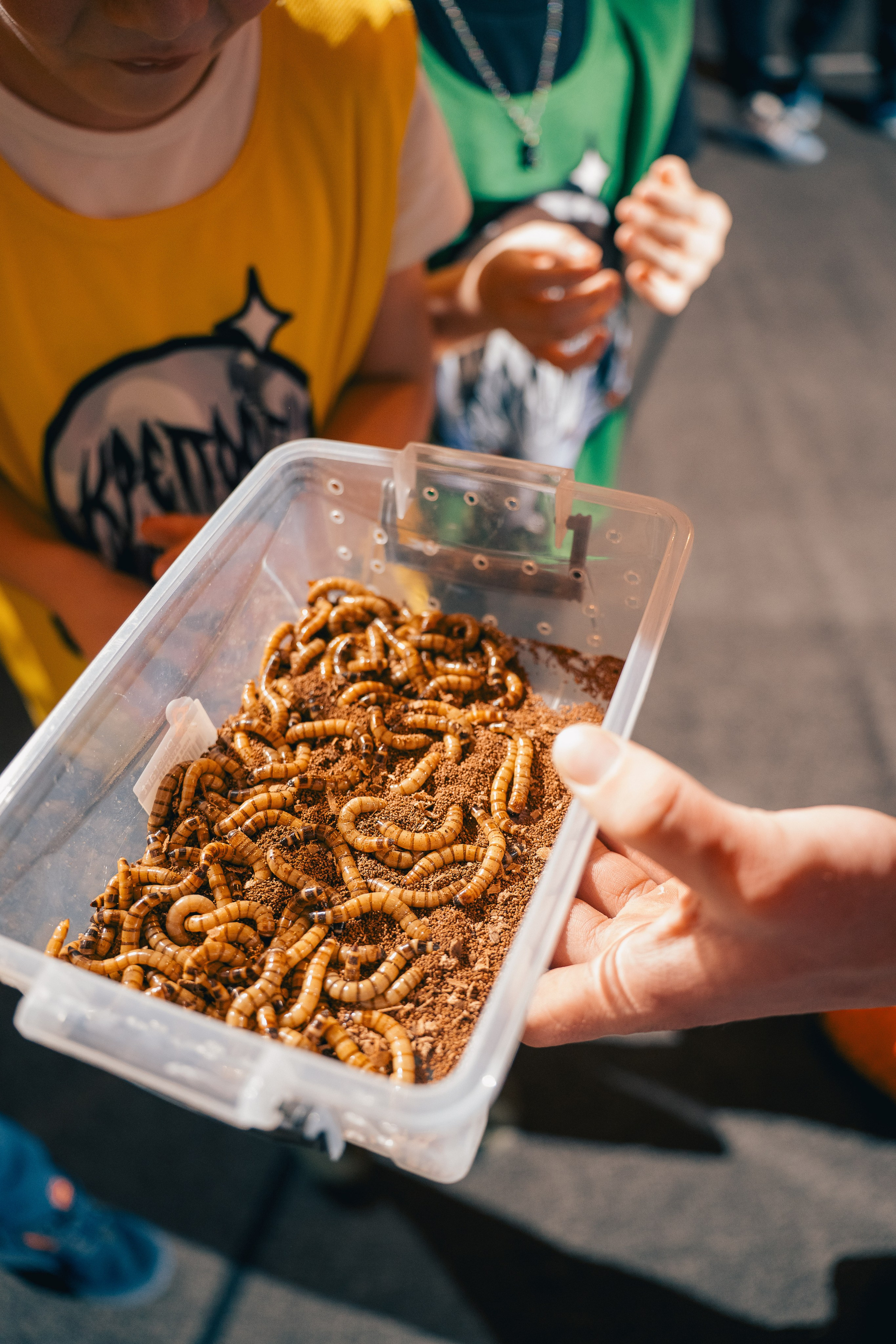 Репортаж. Фотограф Калининград, студийный фотограф, репортаж