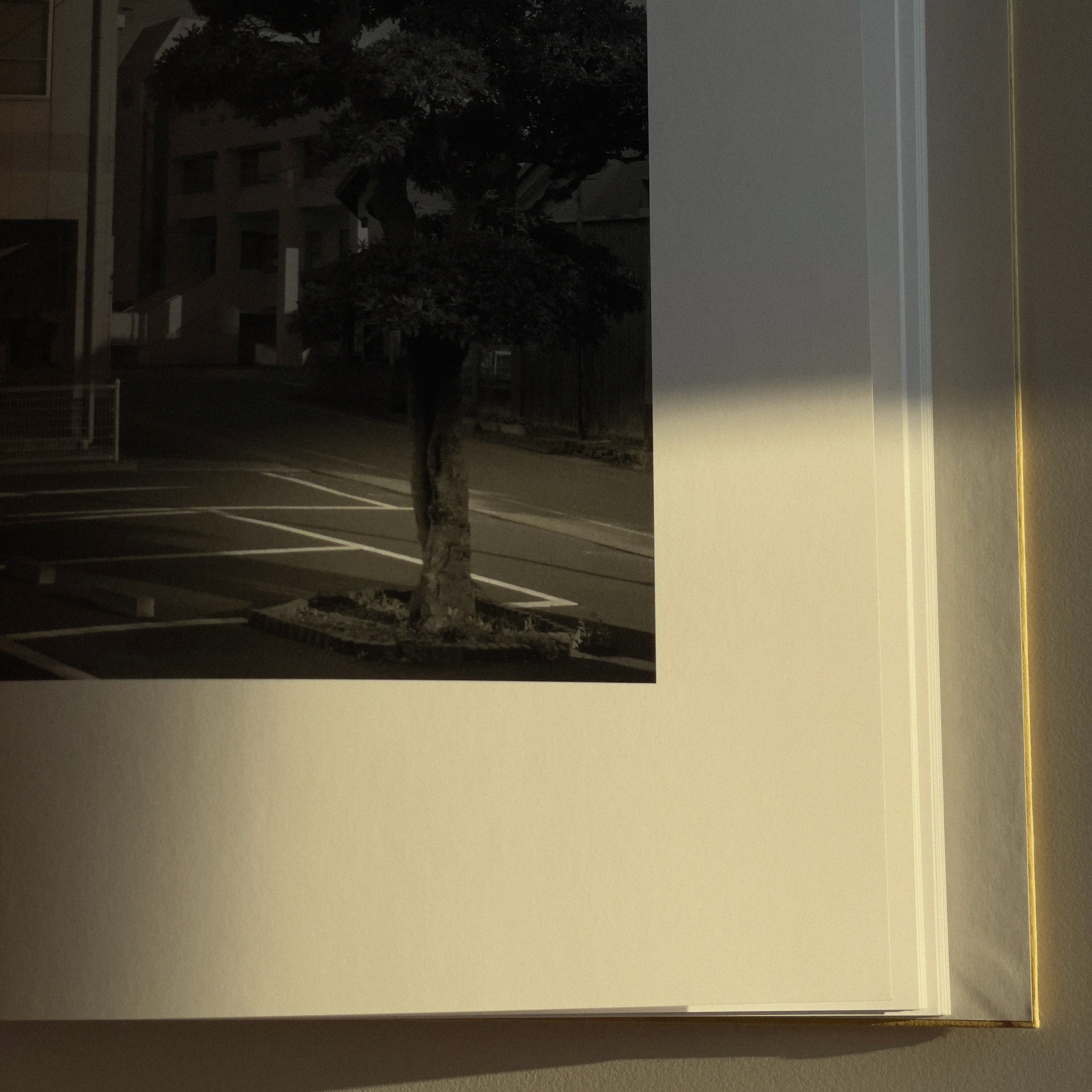 Фотокнижная библиотека Глеба Сергеева. Фотограф и исследователь фотографии из Санкт-Петербурга Елизавета Веприцкая