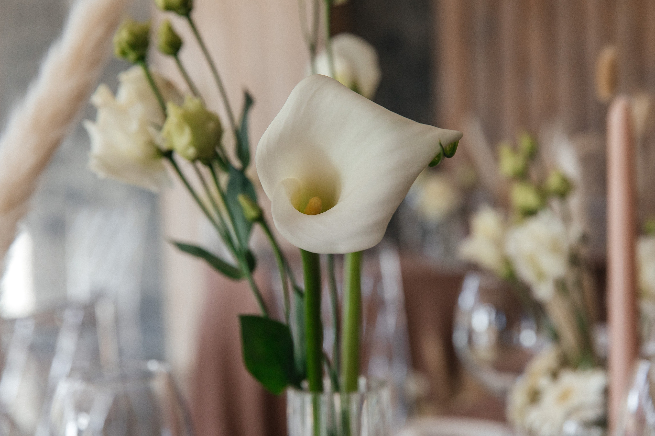 ANASTASIA & YAROSLAV. Свадебный фотограф | Екатеринбург | Сочи | Артем Шестаков