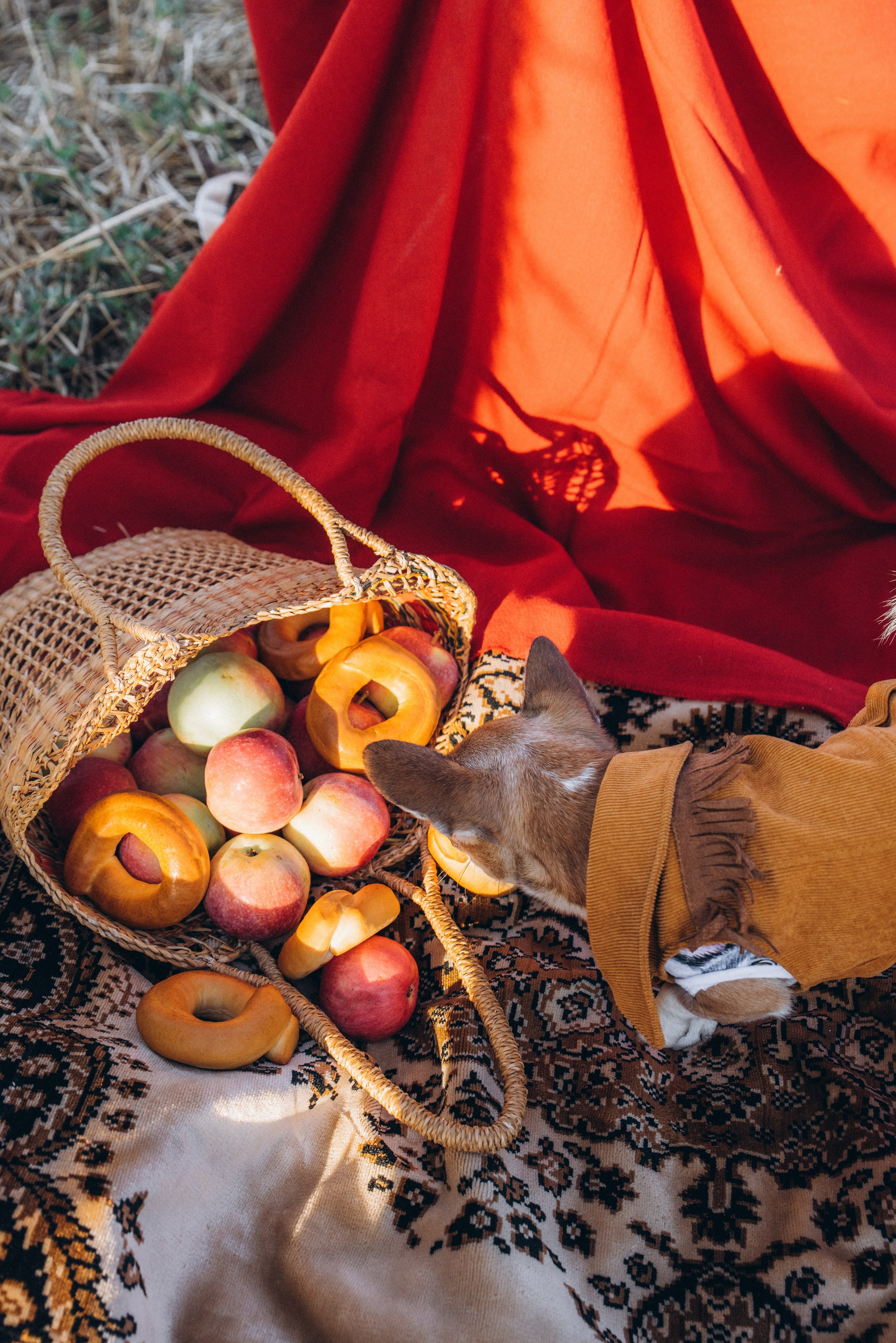 ЛЕНА. Ольга Козлова фотограф Волгоград olkiny-fotki.ru