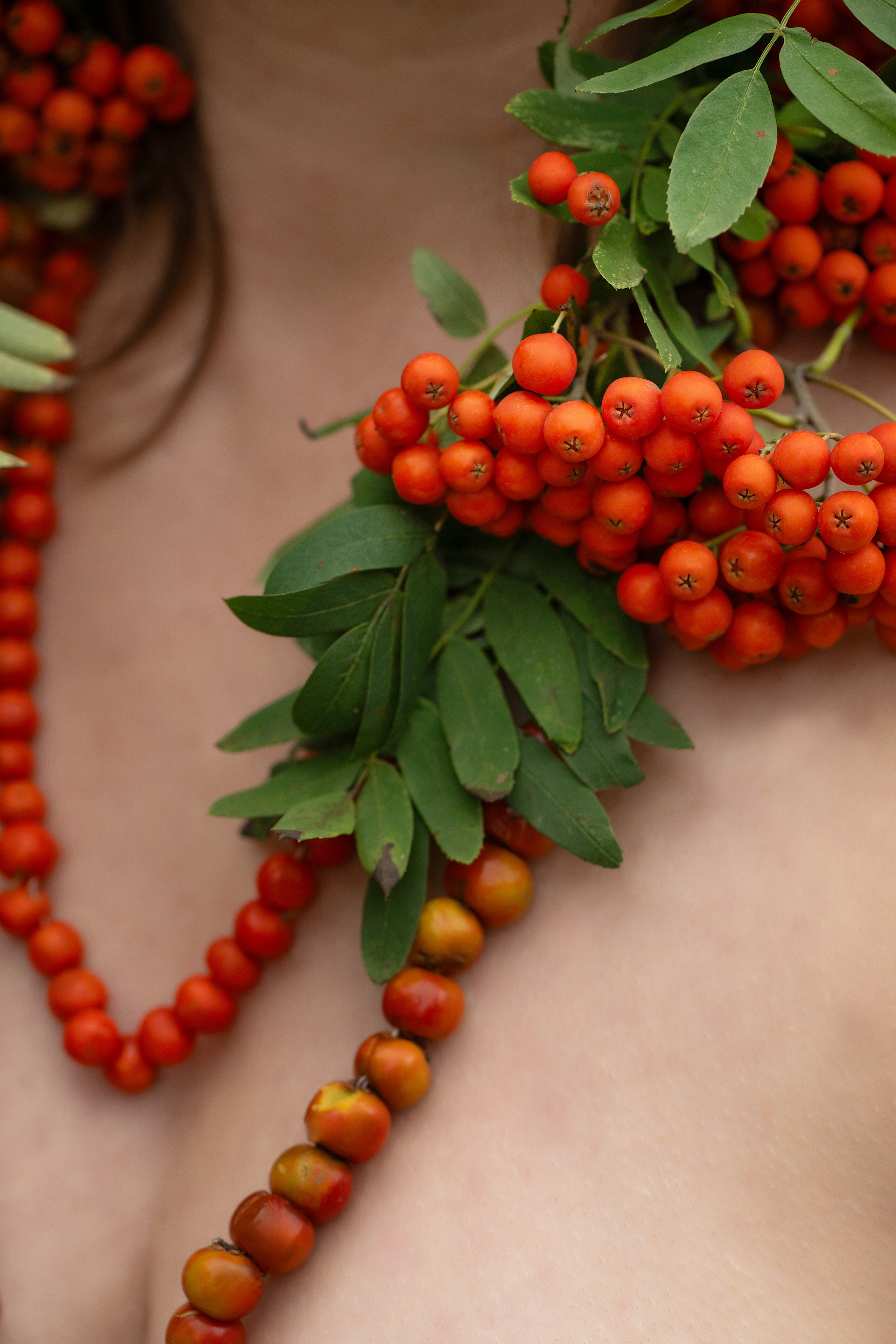 Пикантная рябина. Главная