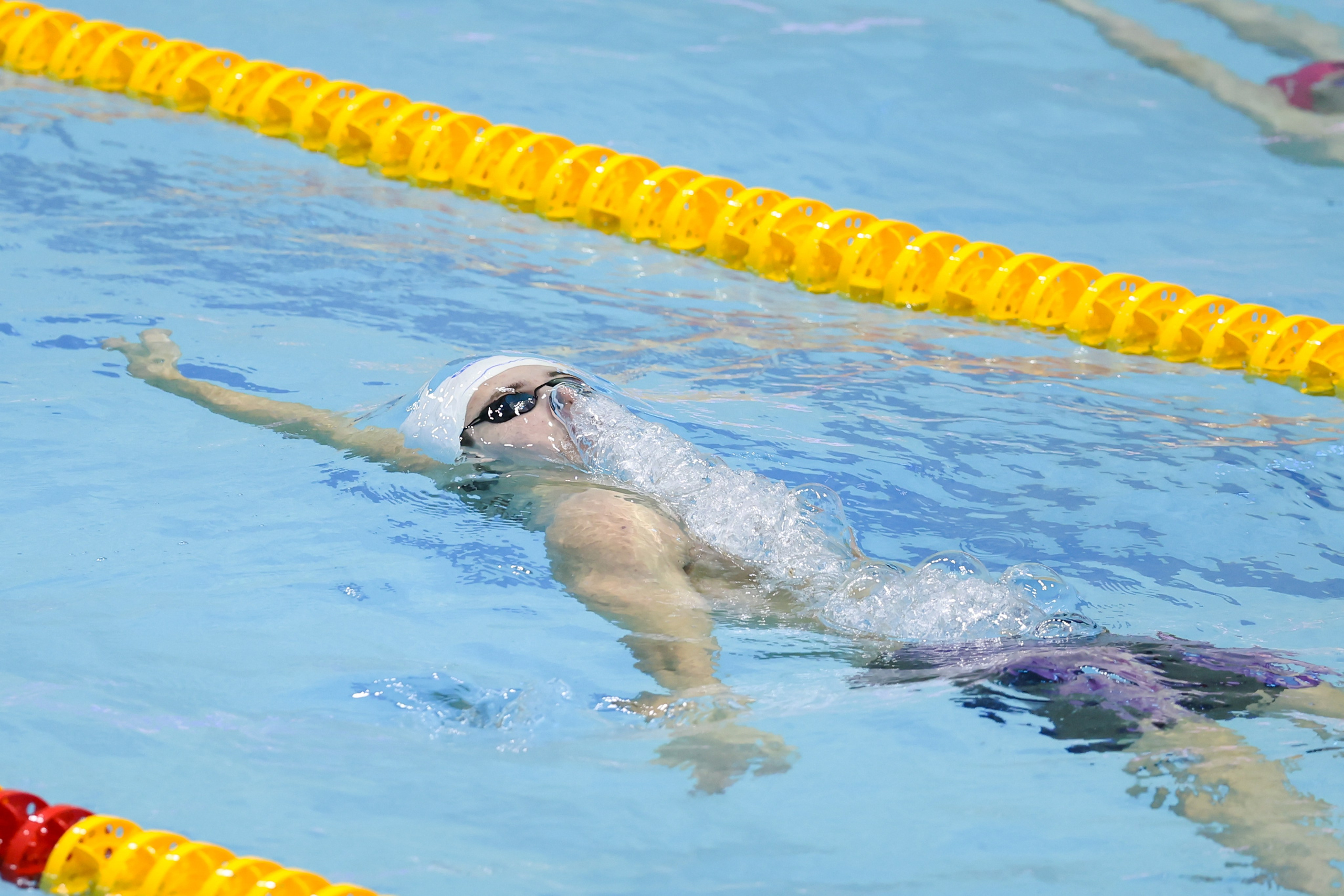 Чемпионат России по плаванию 25 м 21-26.11.2024. Спортивный и репортажный фотограф Антон Тереханов