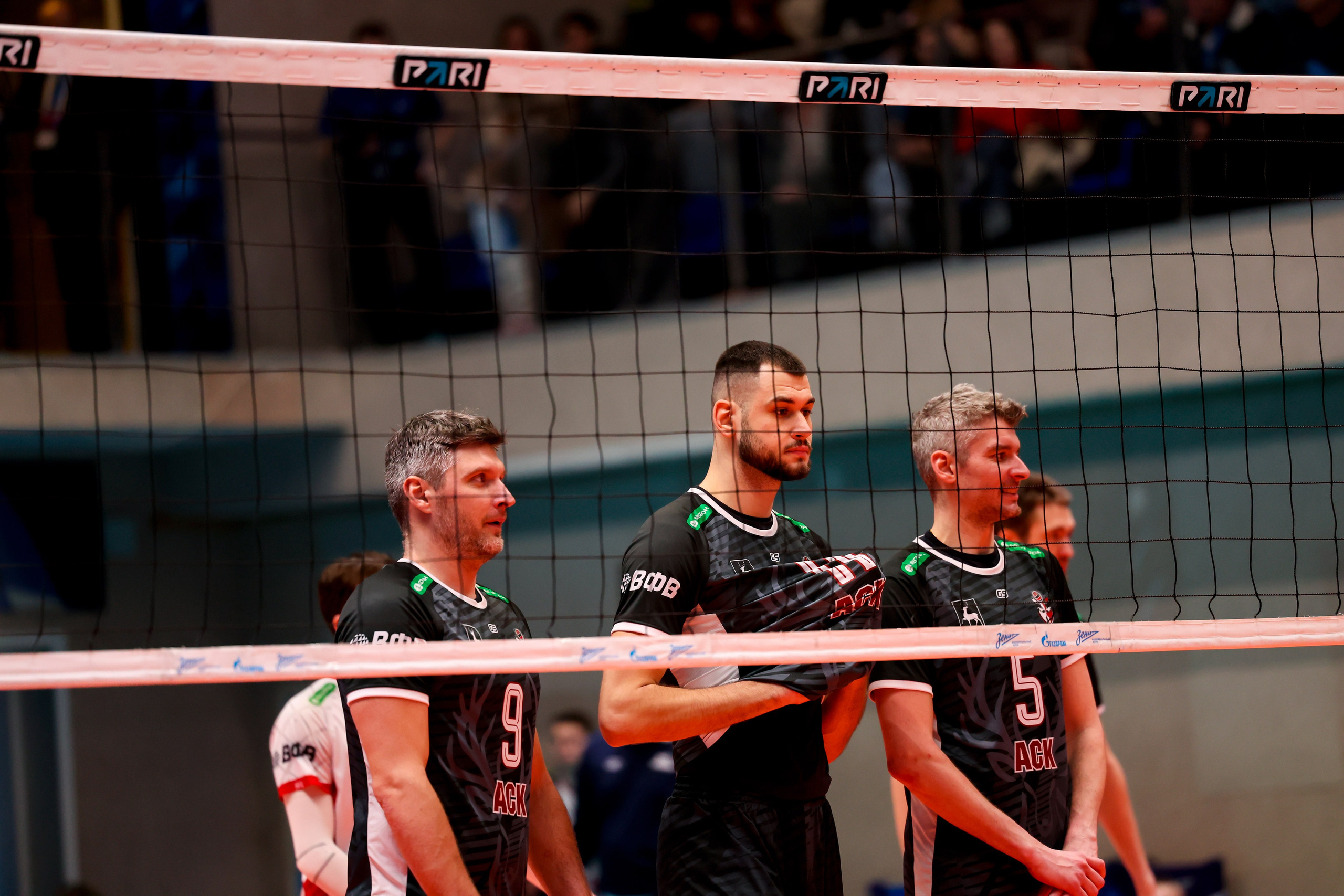 ВК Зенит — ВК АСК 15.03.2025. Спортивный и репортажный фотограф Антон Тереханов