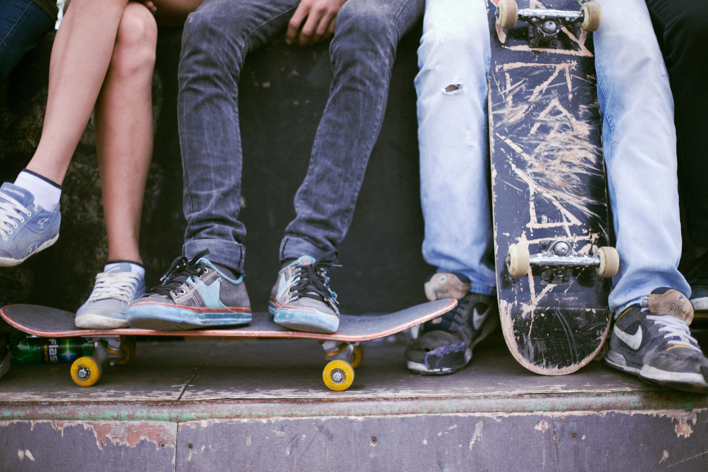 Lifestyle. Bivol images