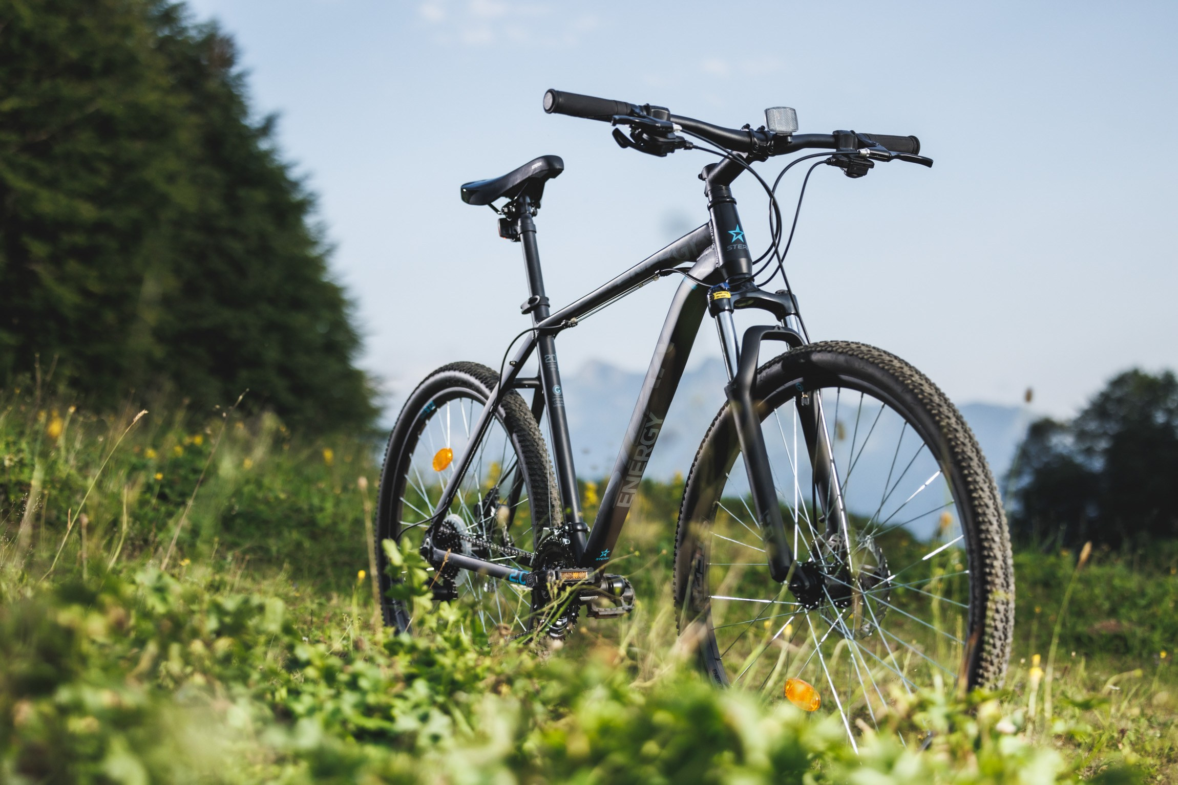 Lifestyle. Bivol images