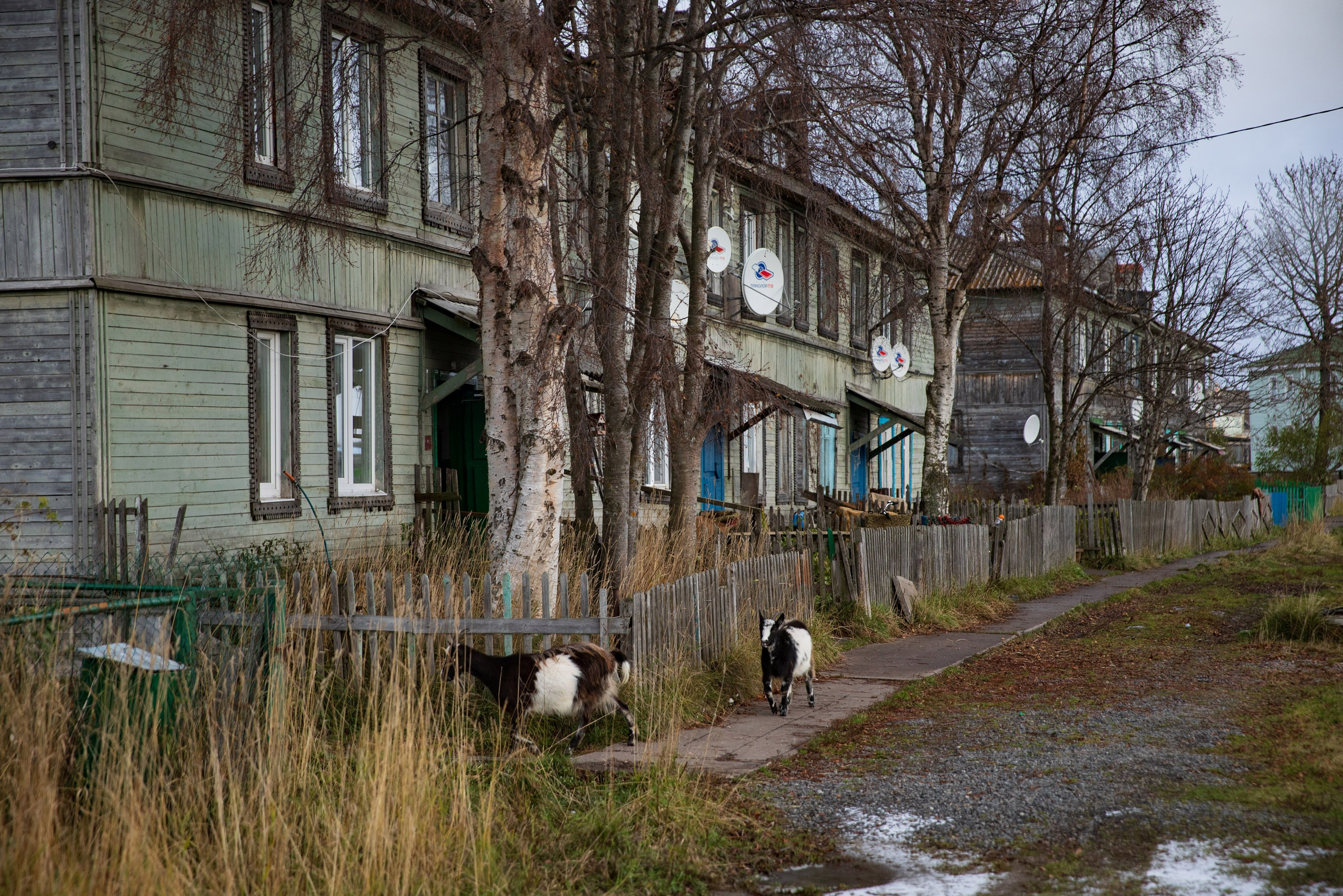 Большое путешествие в Карелию на машине. Марина Захарова — Фотограф. Москва / Marina Zakharova — Photographer
