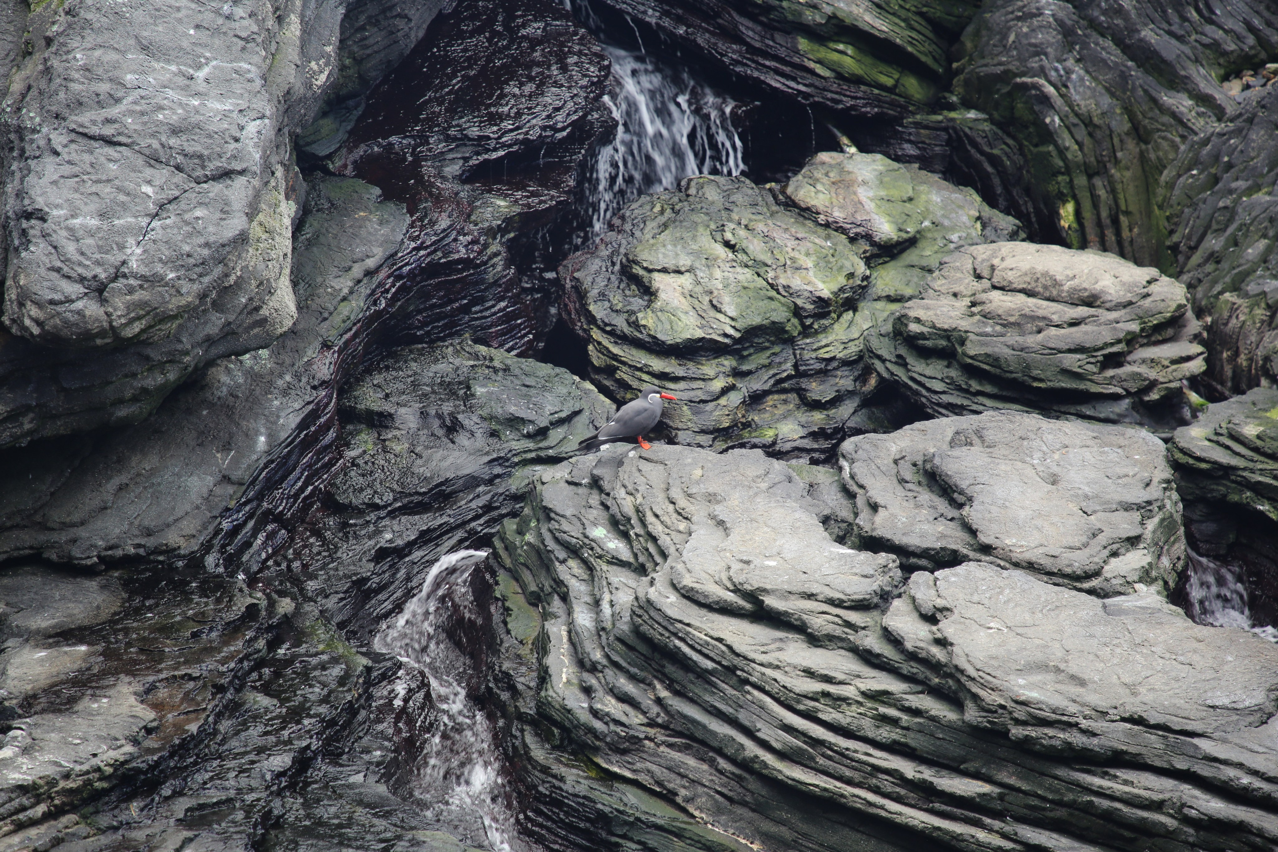 Lisbon, Portugal. Andrey Filippov Photographer