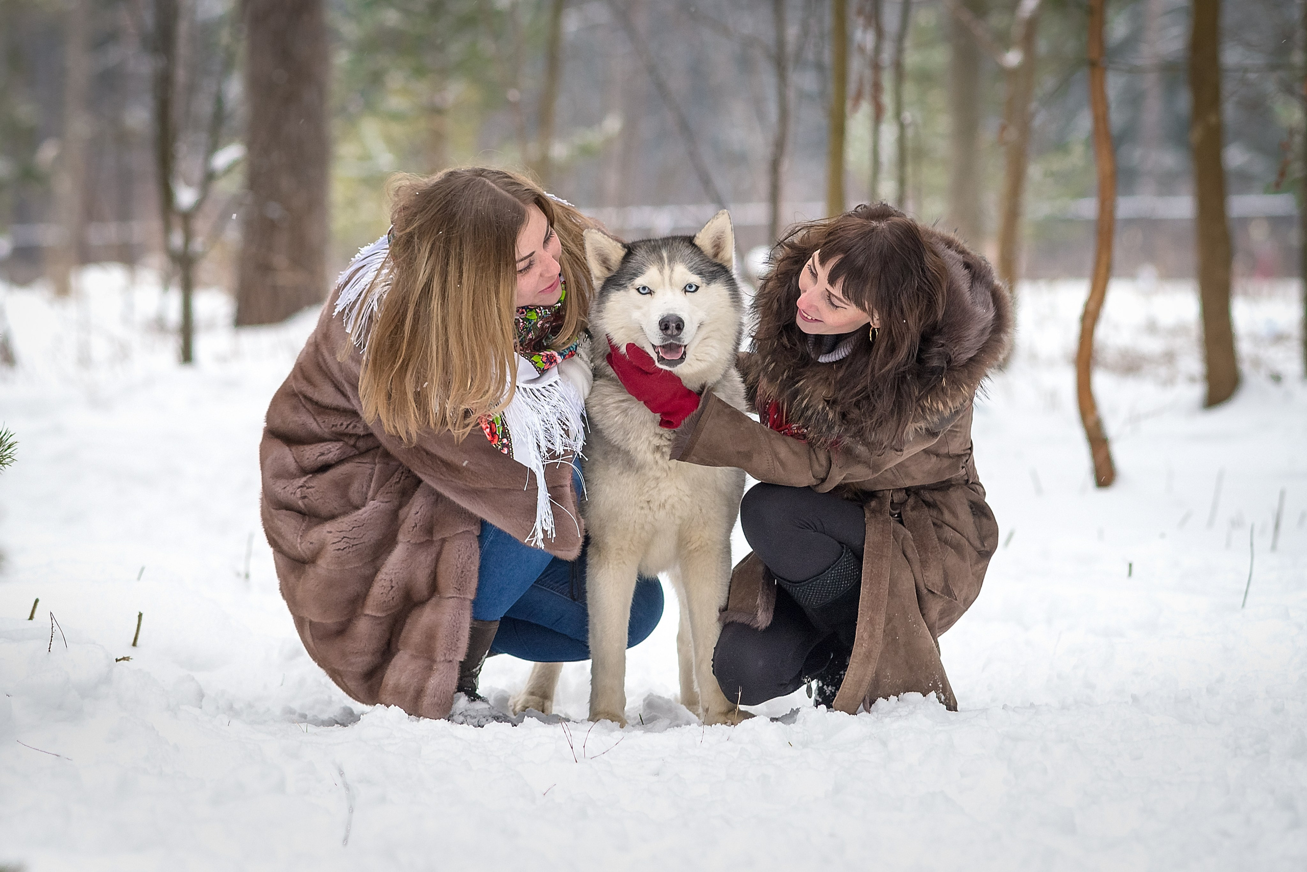 Семейная фотосессия зимой. Фотограф Владимир Артамонов