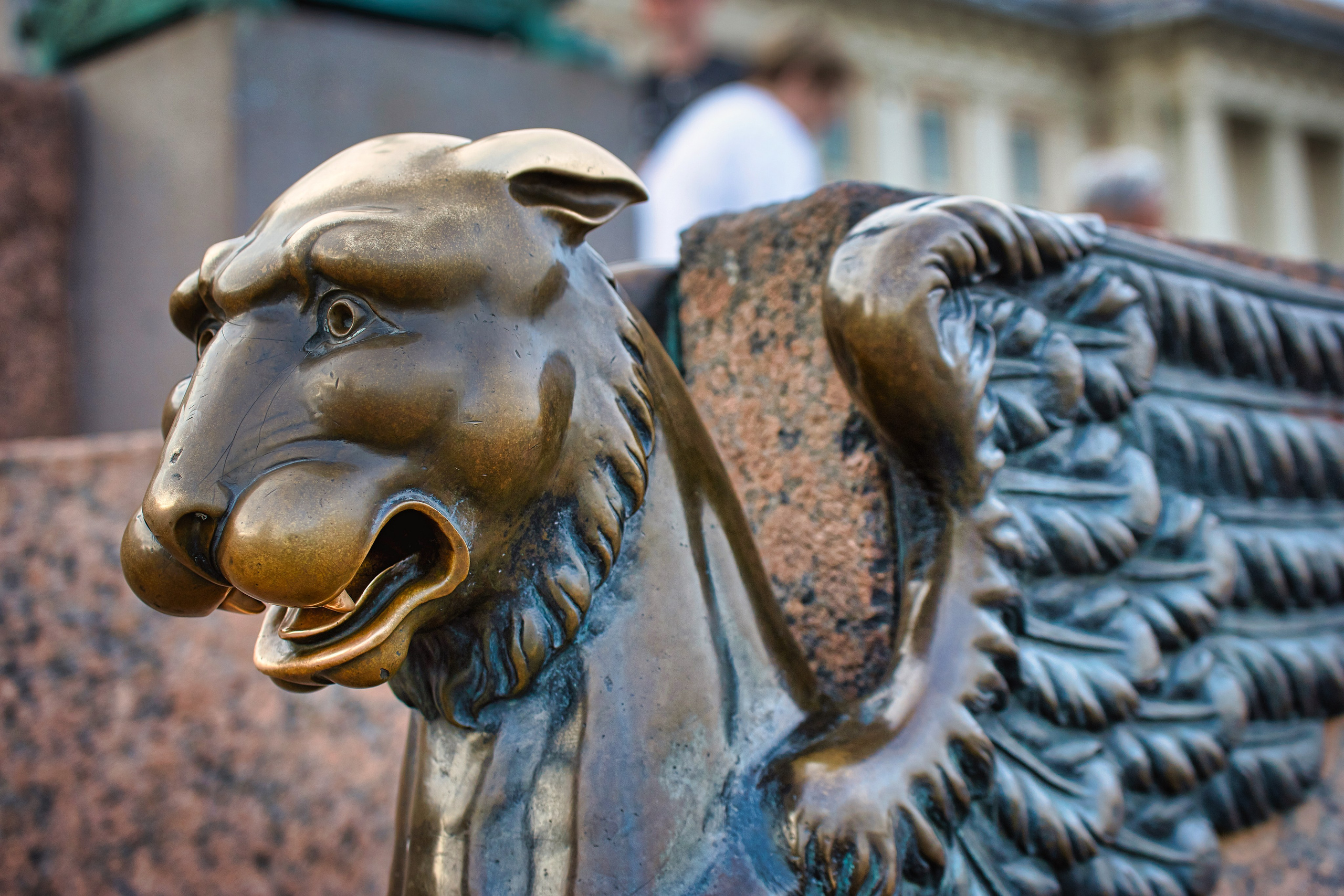 Путешествие в Санкт-Петербург. Фотограф Владимир Артамонов