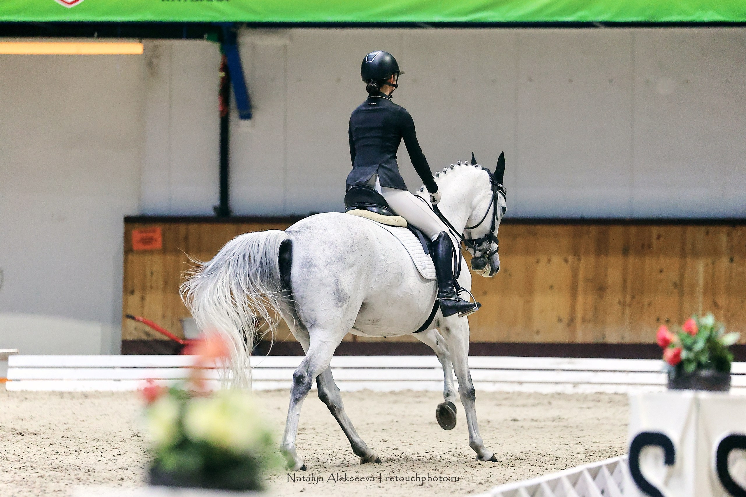 Звезды Евразии по выездке, Минск | 10'2023. Репортажный фотограф и ретушер в Москве Наталья Алексеева