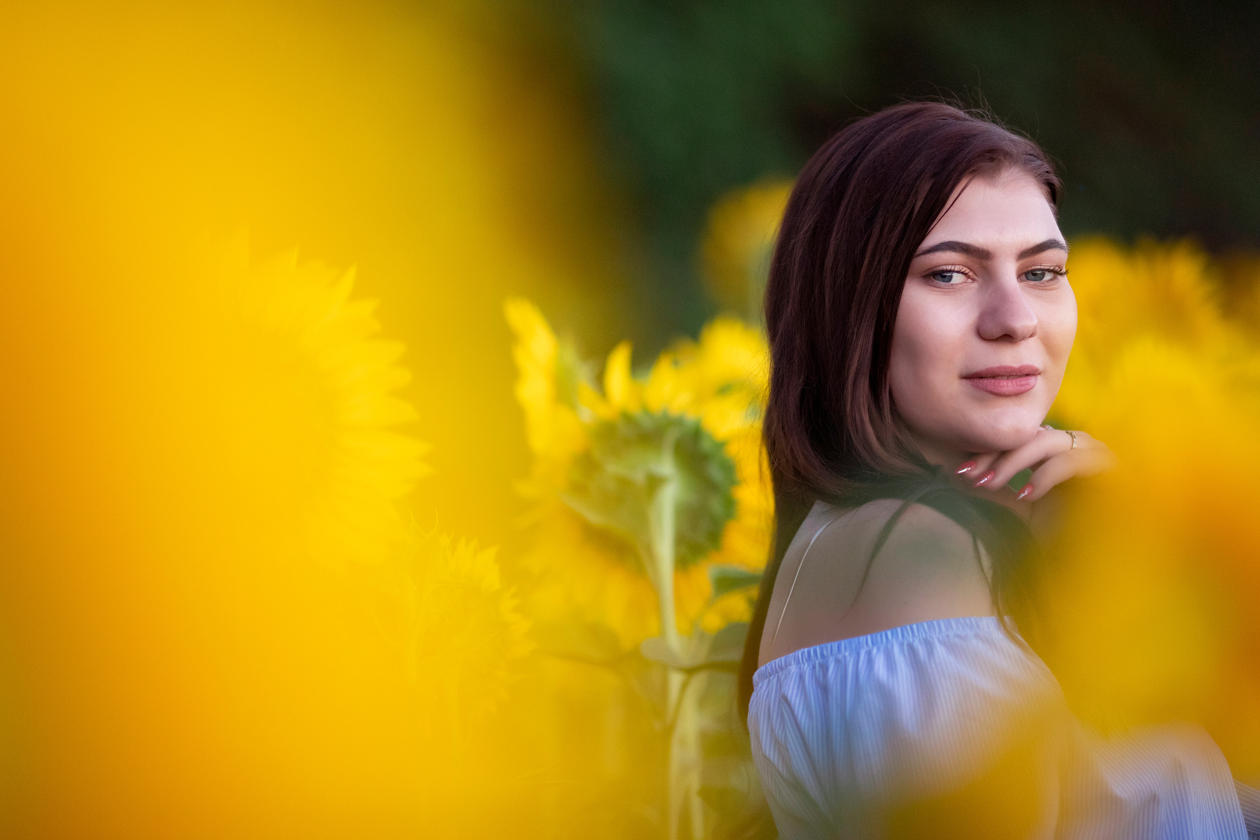 Подсолнухи. Фотограф и дизайнер г. Новороссийск Алена Дарбакова