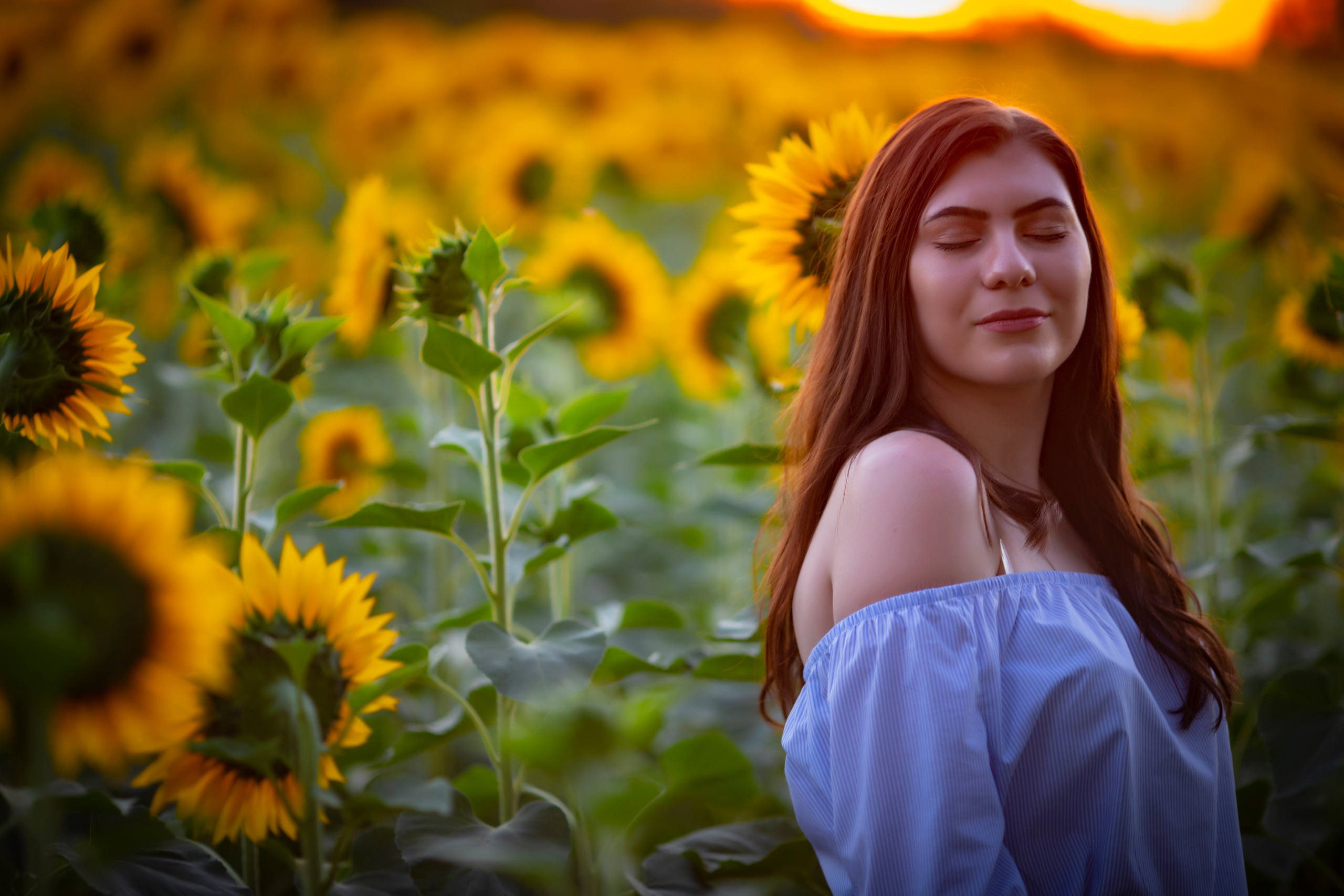 Подсолнухи. Фотограф и дизайнер г. Новороссийск Алена Дарбакова