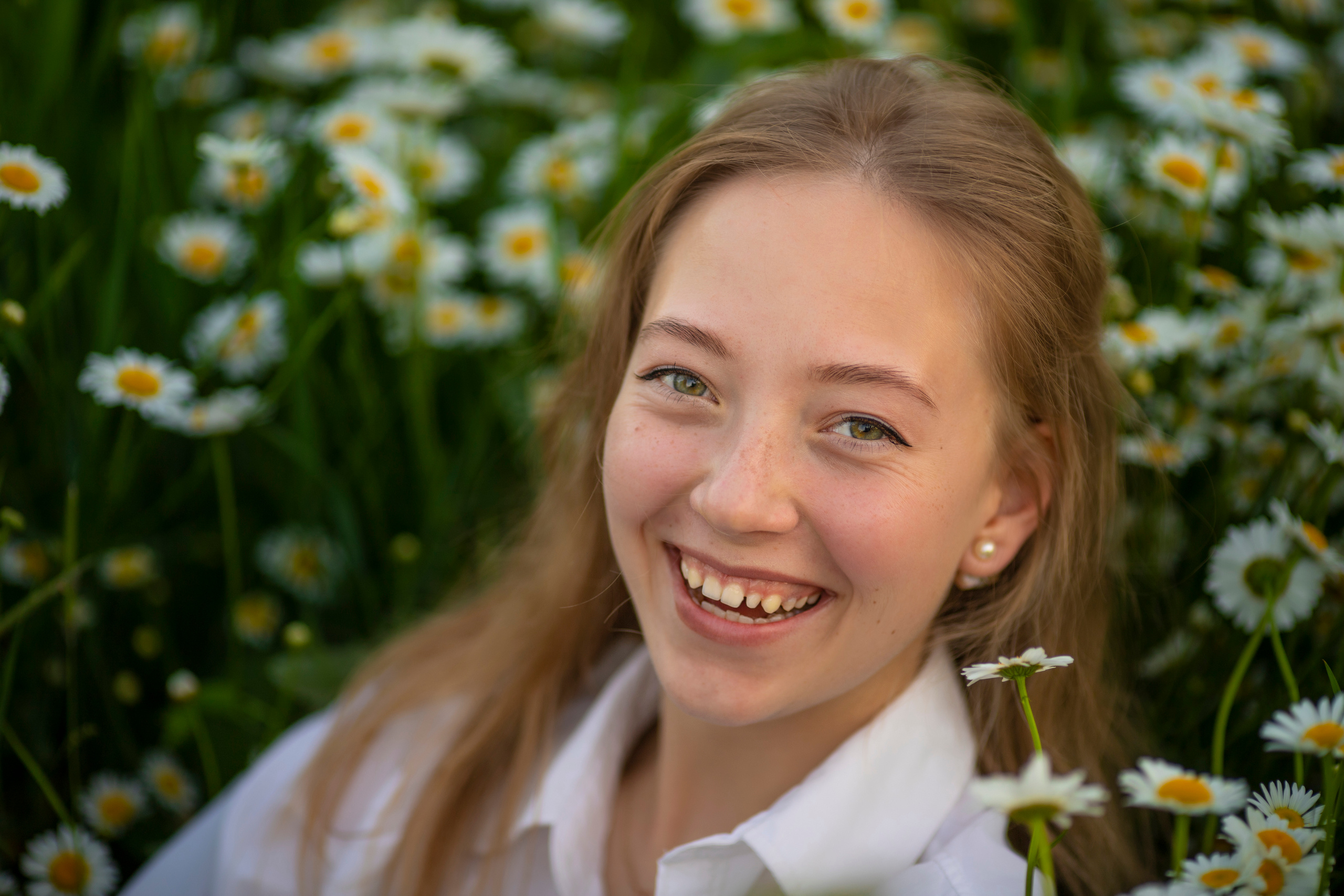 Ромашки. Фотограф и дизайнер г. Новороссийск Алена Дарбакова