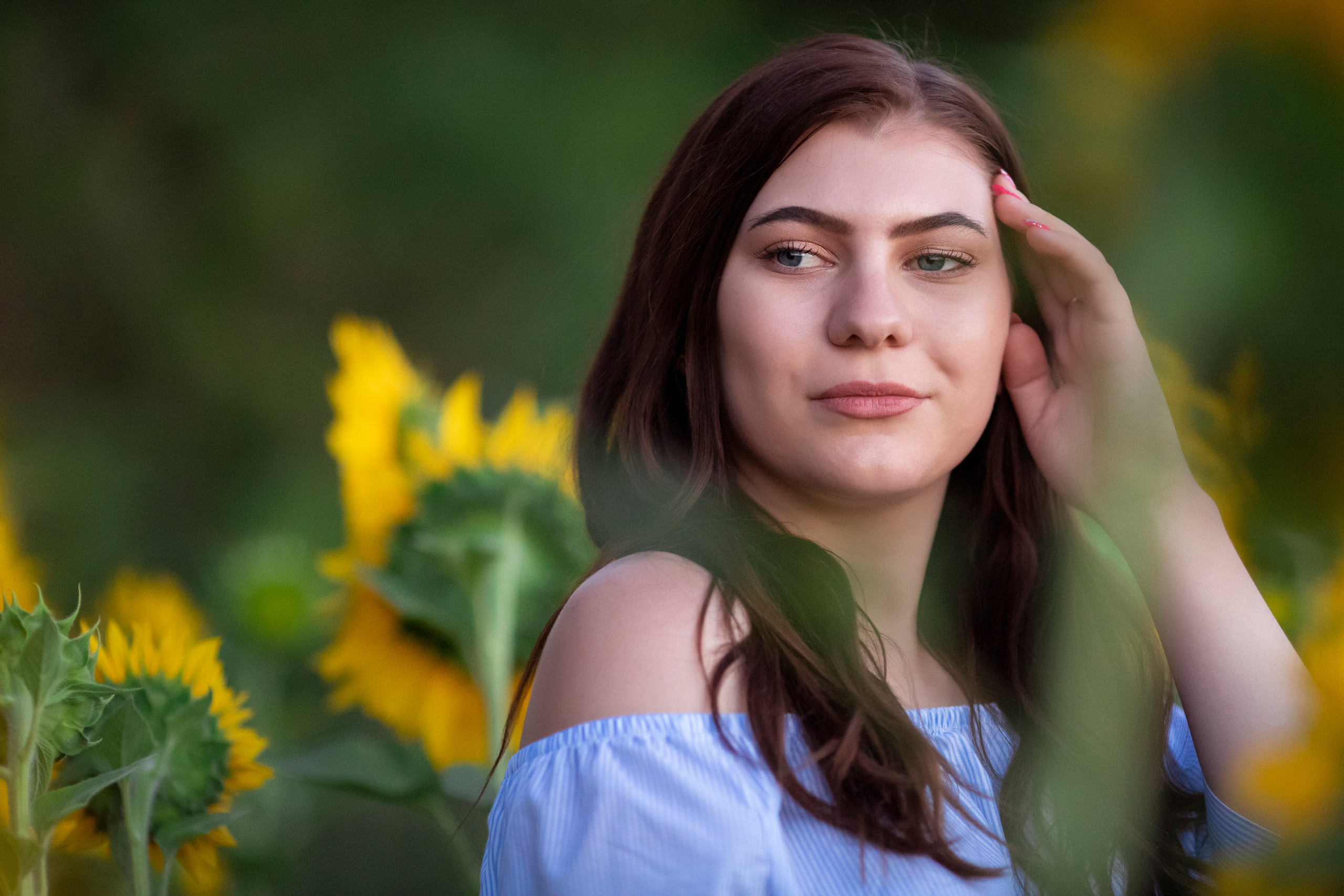 Подсолнухи. Фотограф и дизайнер г. Новороссийск Алена Дарбакова