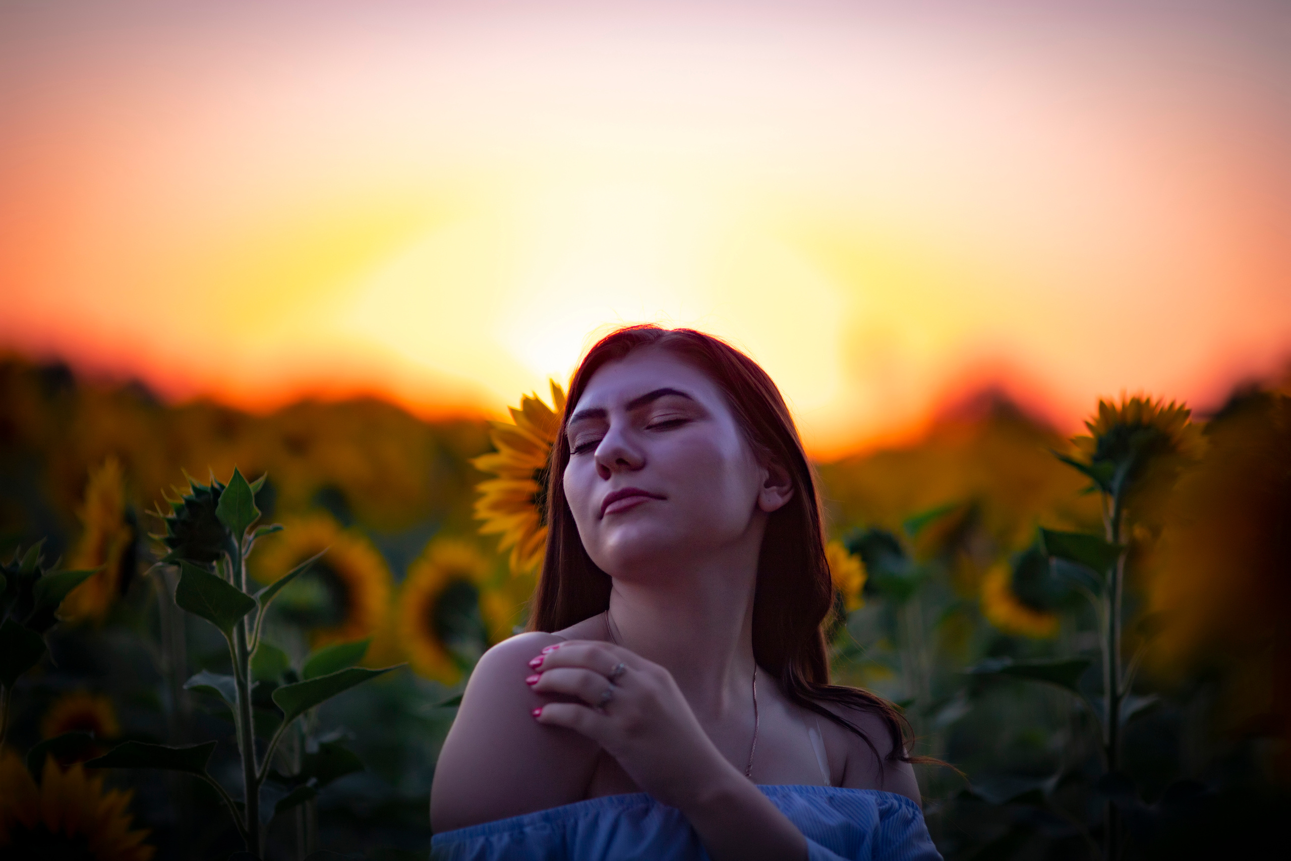 Подсолнухи. Фотограф и дизайнер г. Новороссийск Алена Дарбакова
