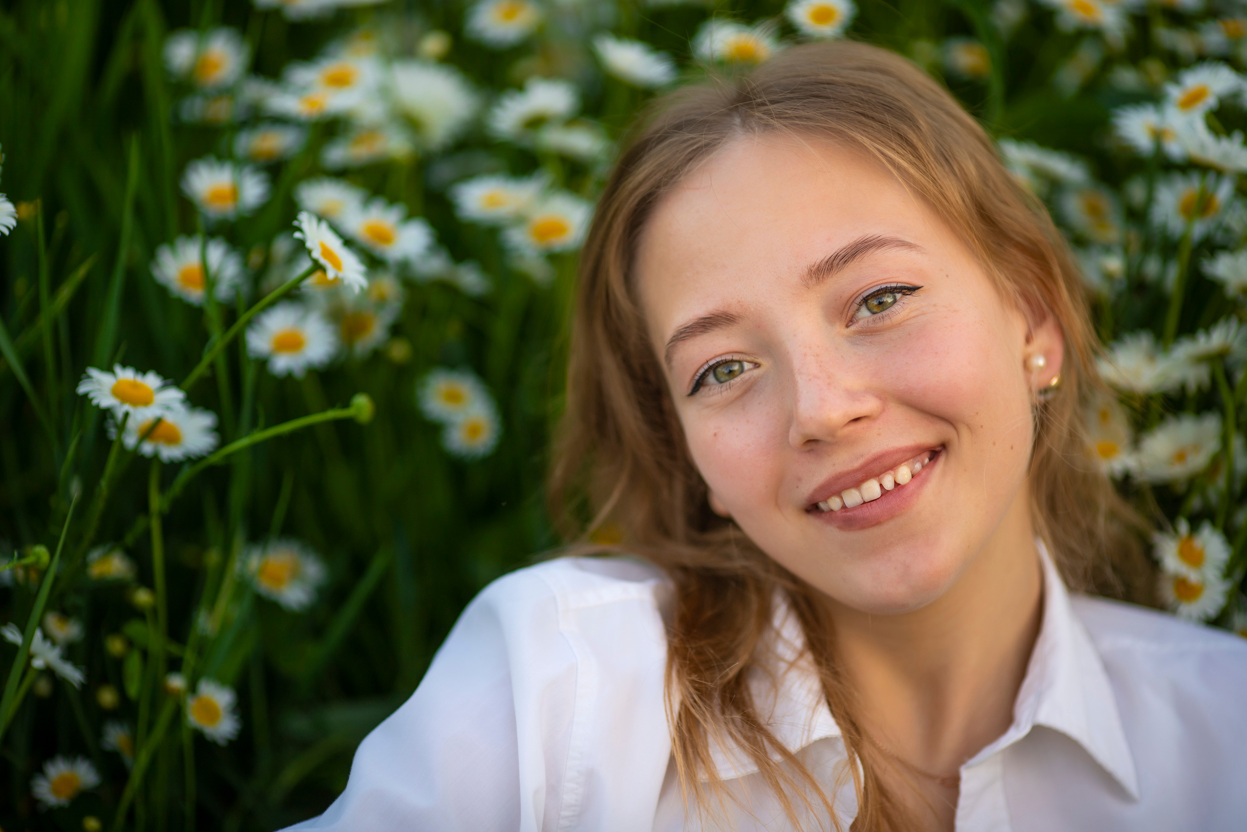 Ромашки. Фотограф и дизайнер г. Новороссийск Алена Дарбакова