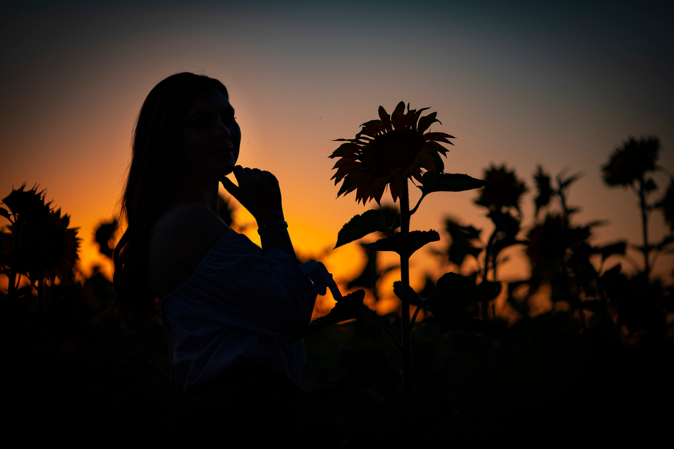 Подсолнухи. Фотограф и дизайнер г. Новороссийск Алена Дарбакова