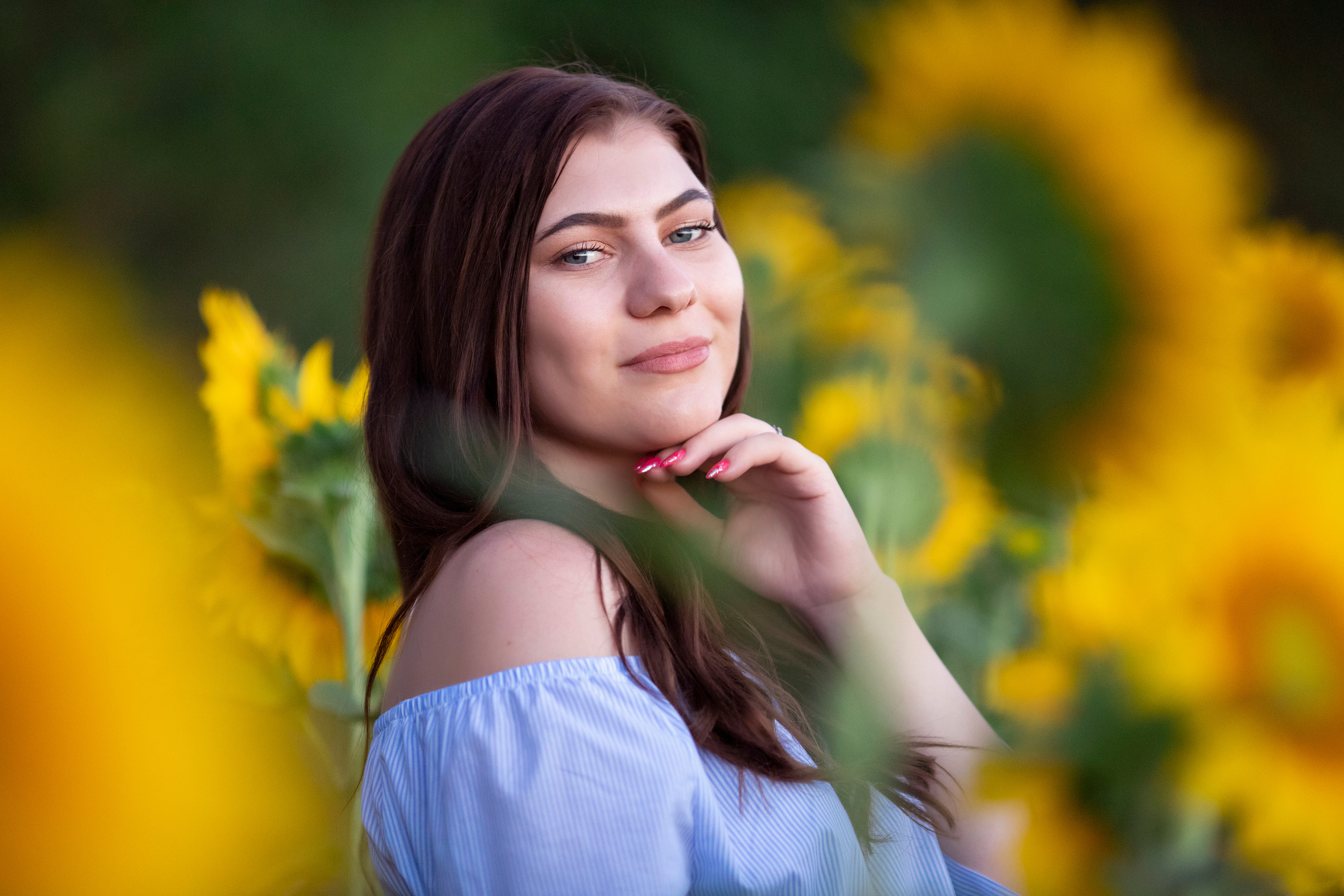 Подсолнухи. Фотограф и дизайнер г. Новороссийск Алена Дарбакова