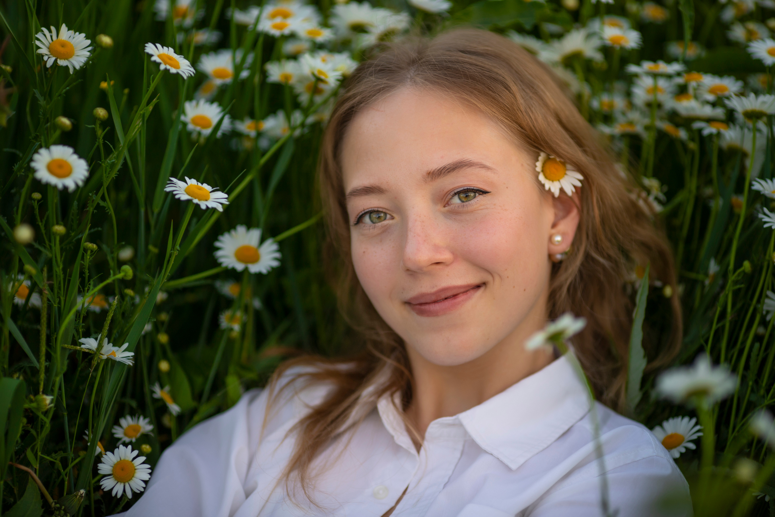 Ромашки. Фотограф и дизайнер г. Новороссийск Алена Дарбакова