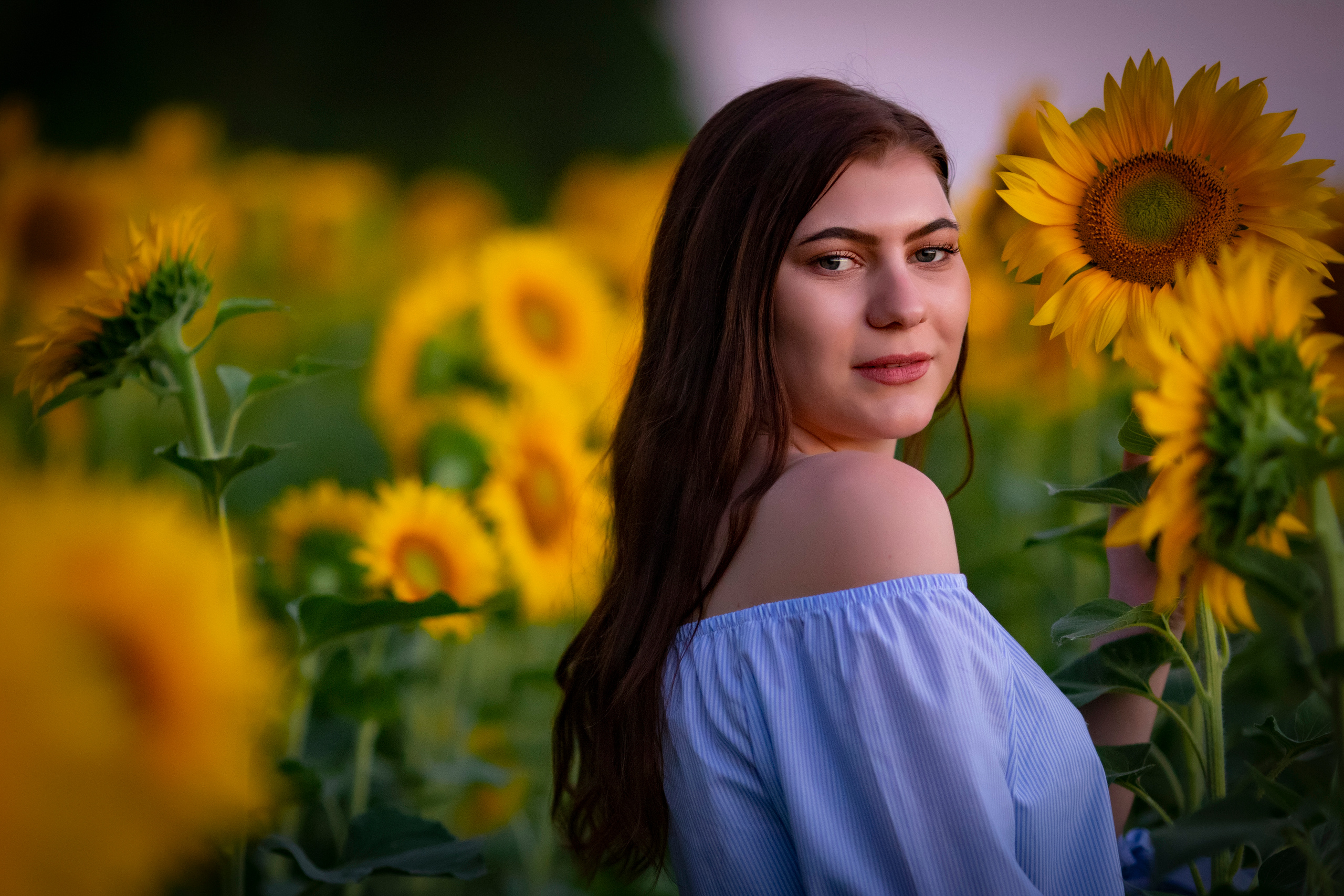 Подсолнухи. Фотограф и дизайнер г. Новороссийск Алена Дарбакова