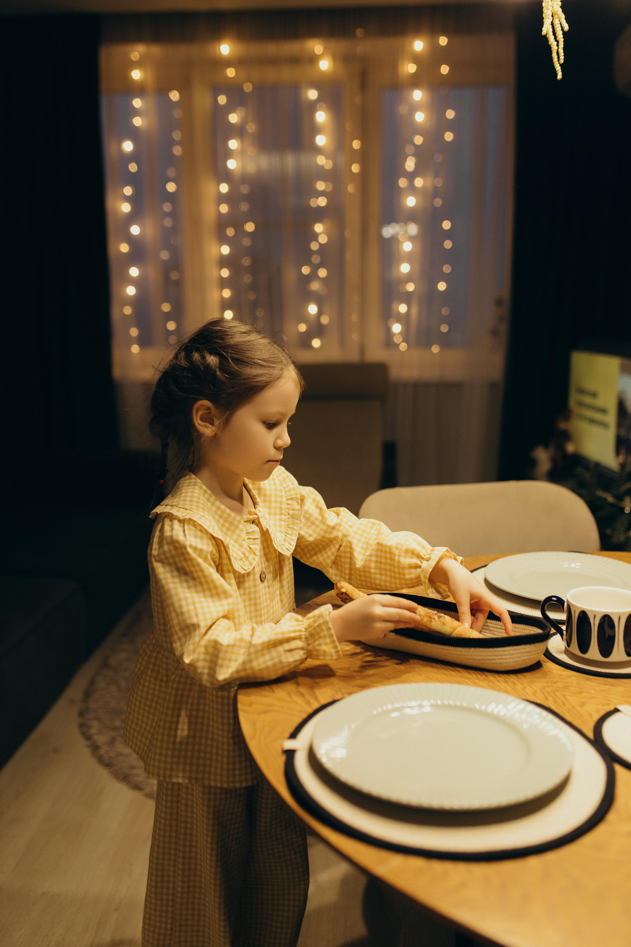 Домашняя история. Meryfotoidea