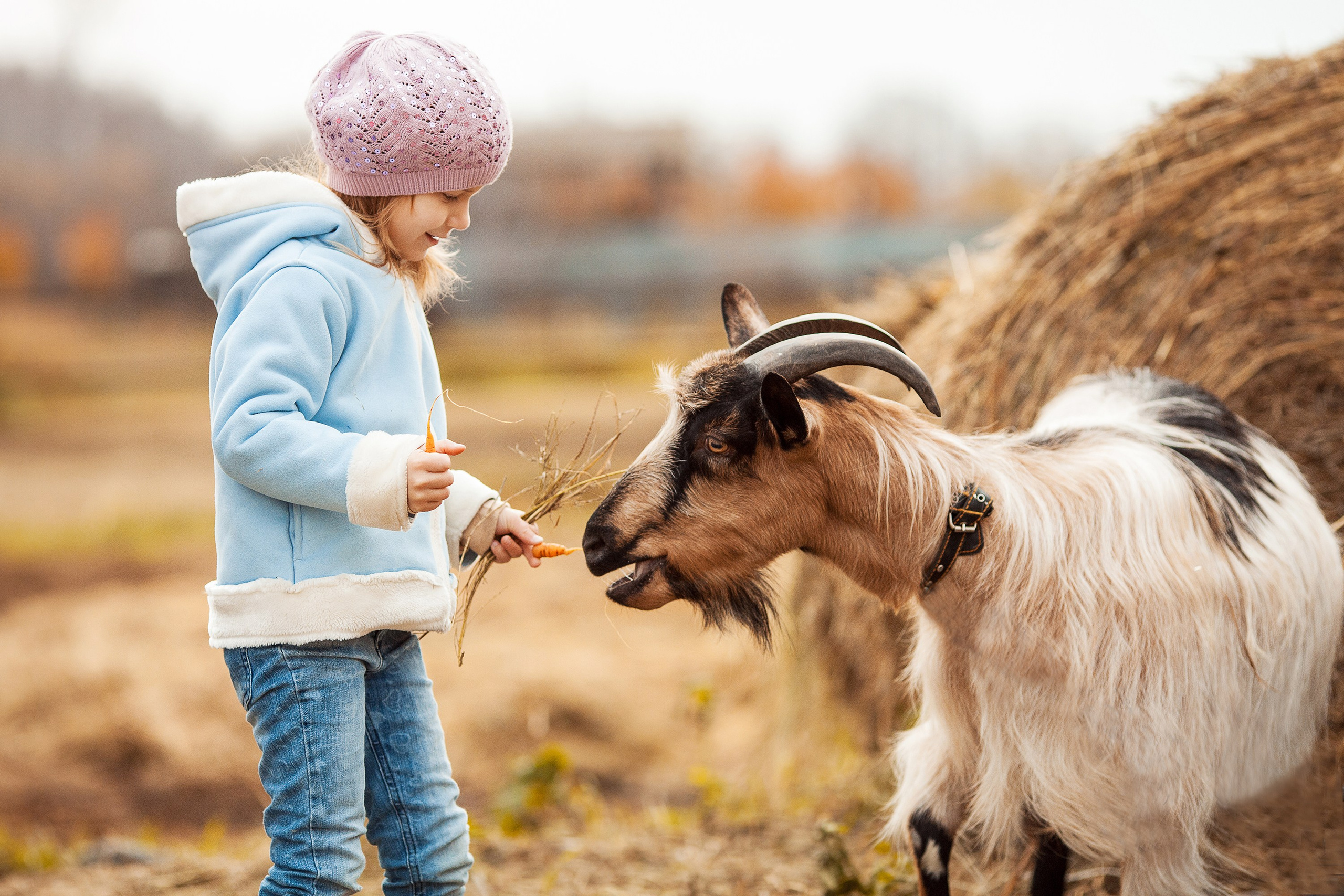 Детская съемка. Конный фотограф в Челябинске Стромова Ольга