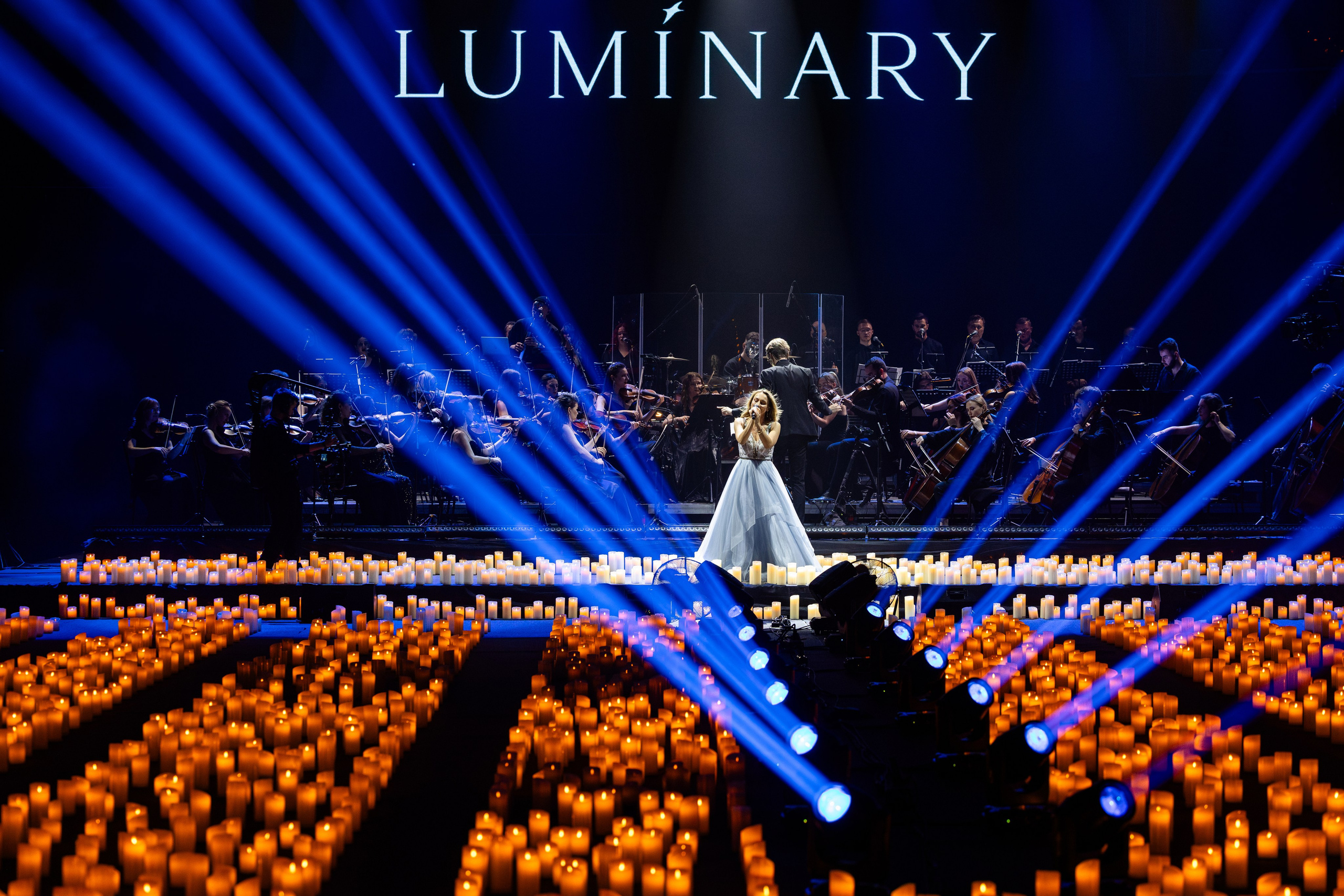 Luminary Баскет-Холл. Руслан Плахтеев