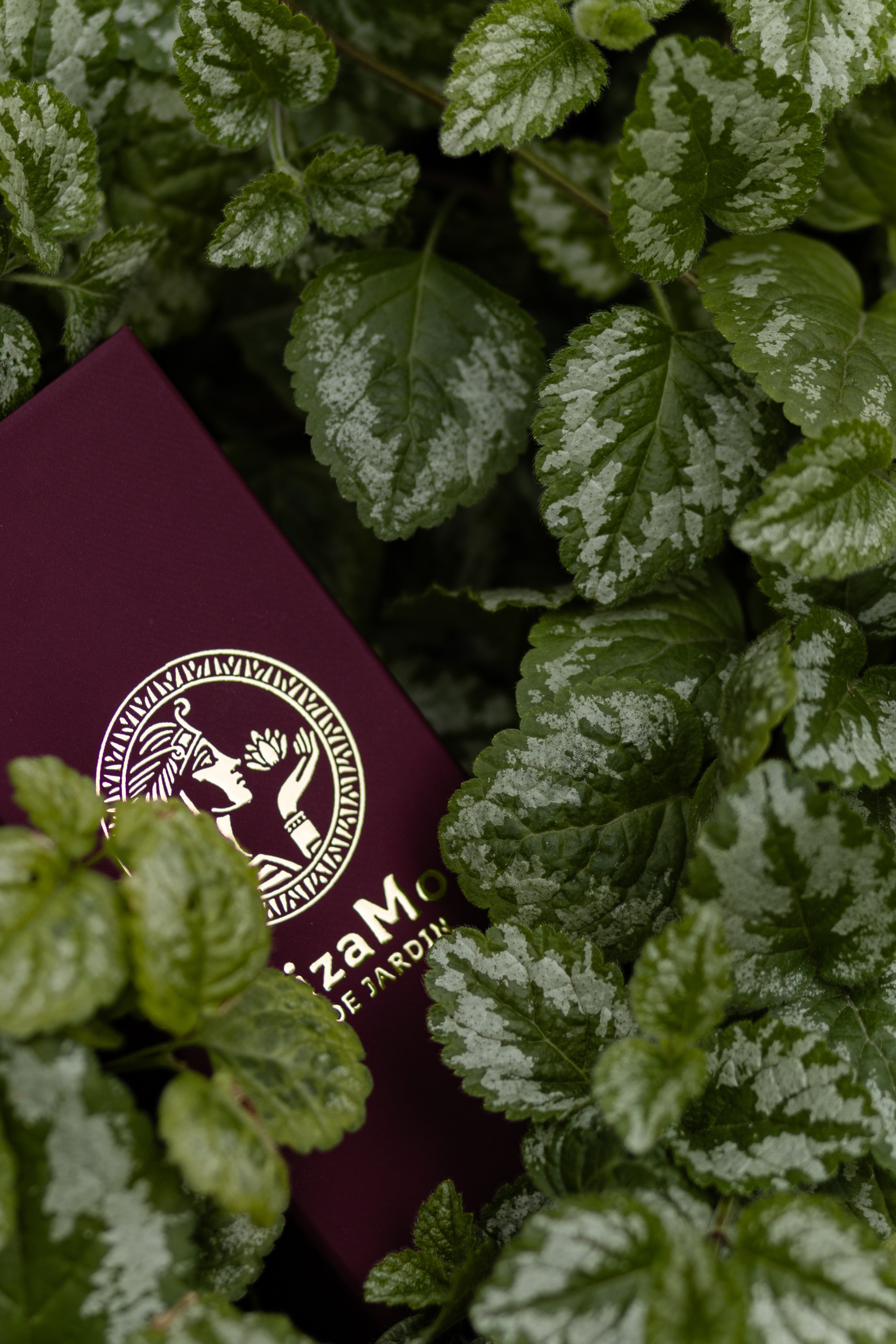 GizaMo. Фотограф в Екатеринбурге Гасанова Дилара