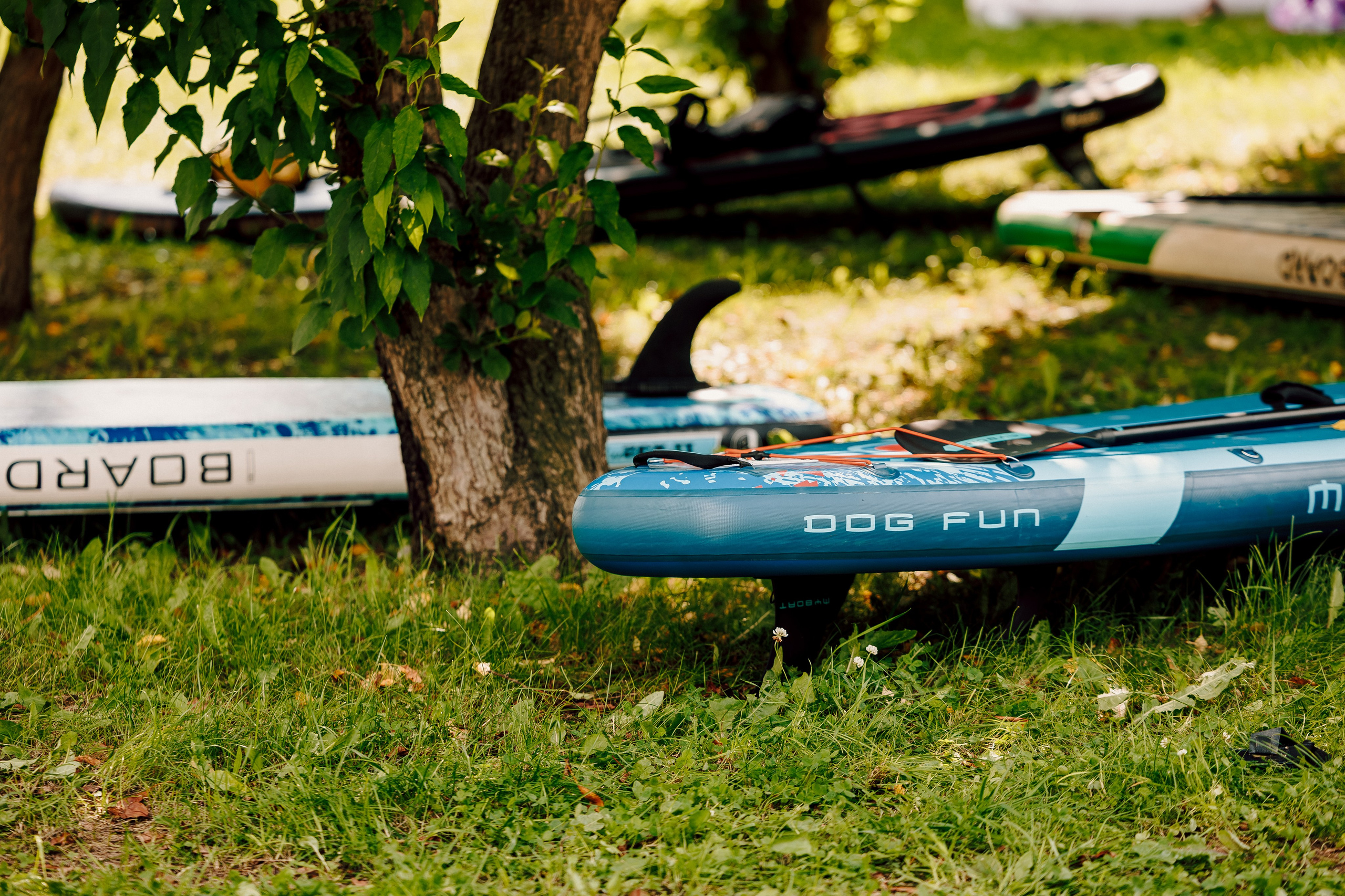 E1 Sup Fest 2026. Фотограф Лёшка Варзегов