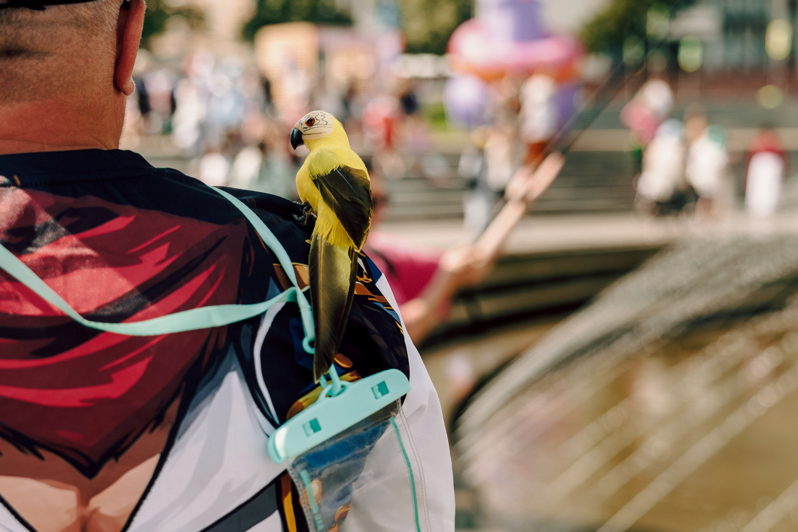 E1 Sup Fest 2026. Фотограф Лёшка Варзегов