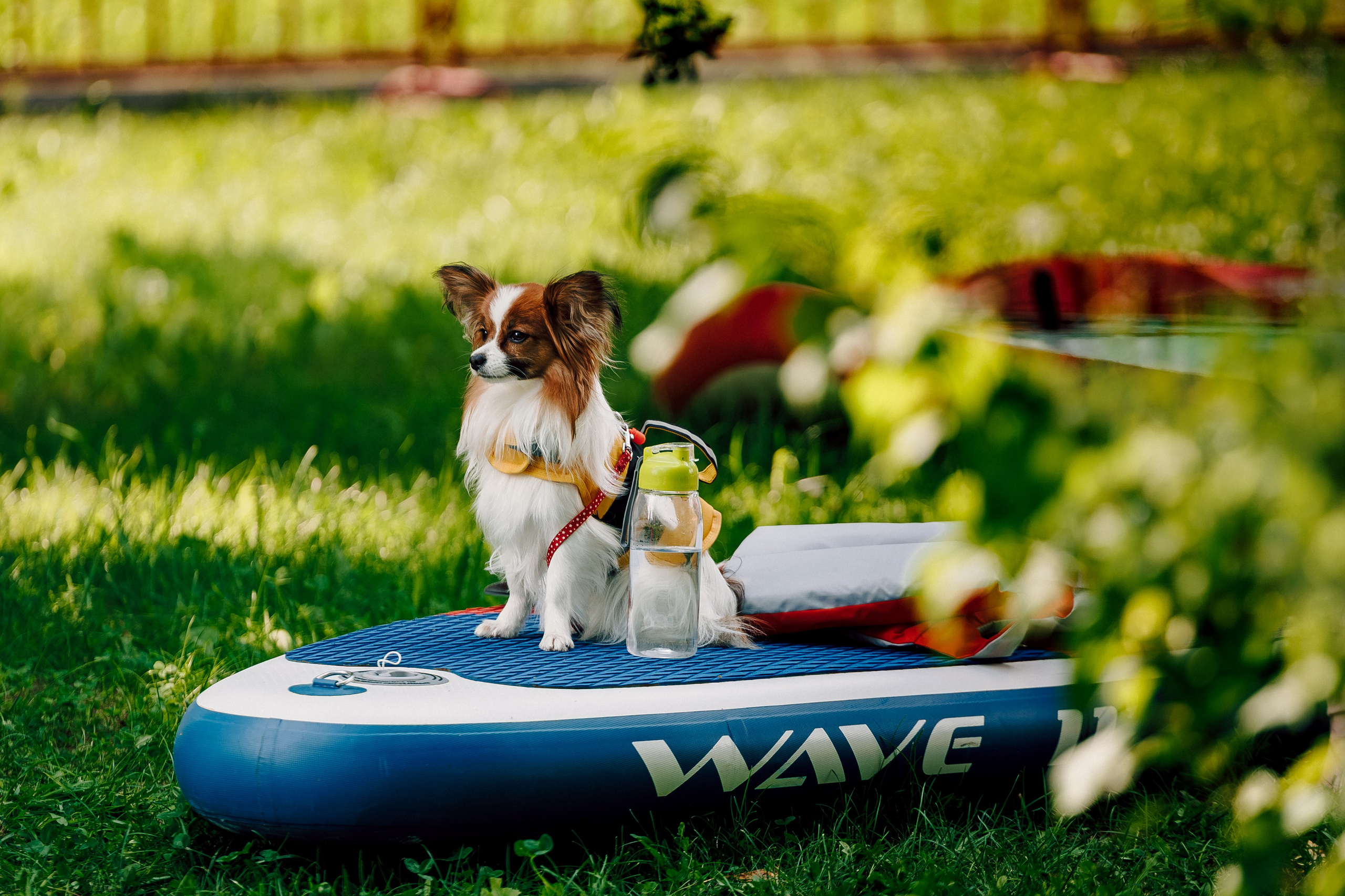 E1 Sup Fest 2026. Фотограф Лёшка Варзегов