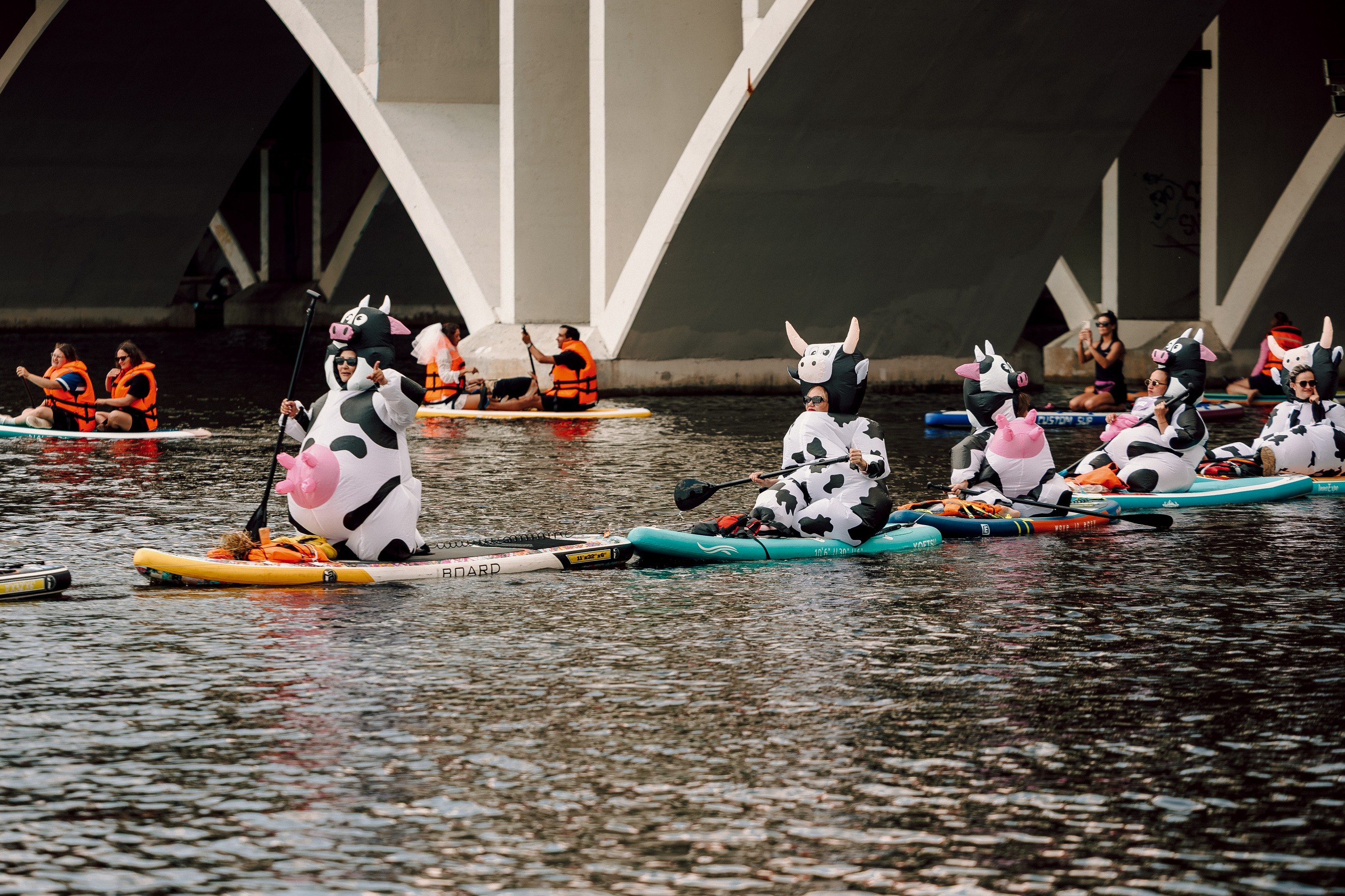 E1 Sup Fest 2026. Фотограф Лёшка Варзегов