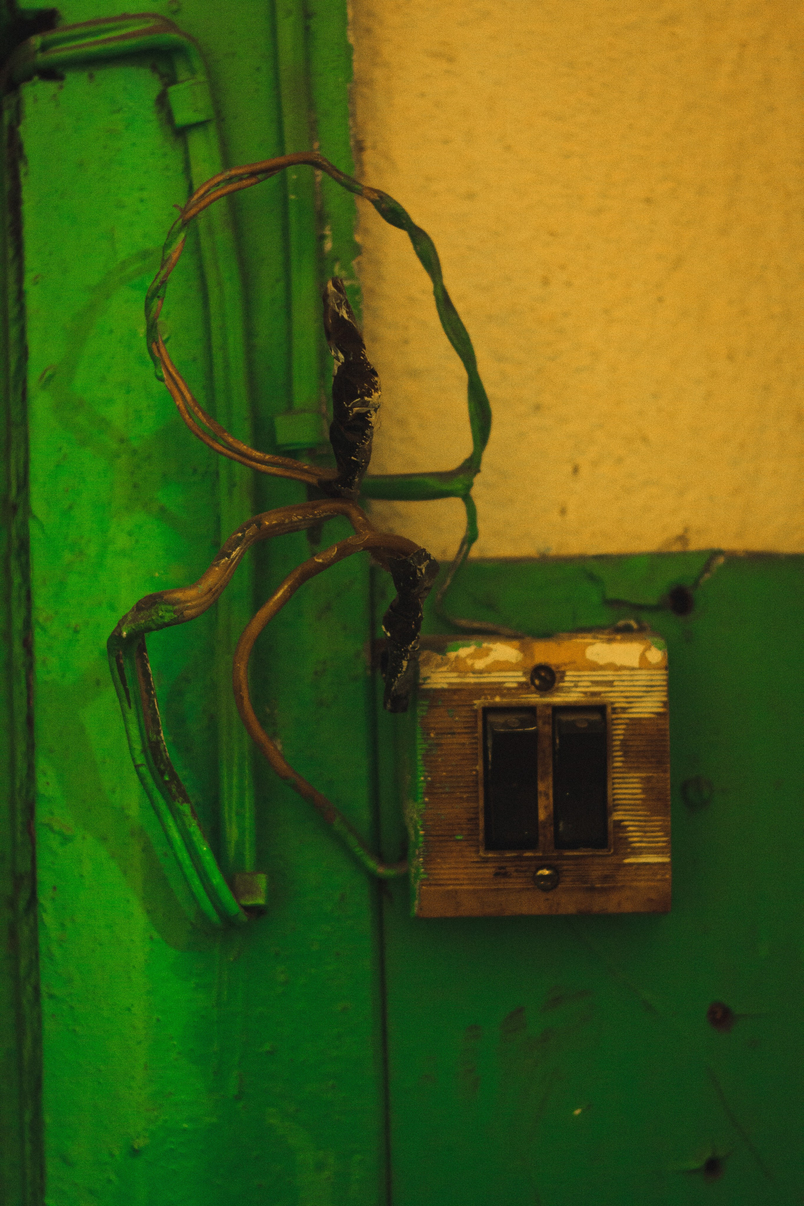 База. Den Mirov — Фотограф, Музыкант