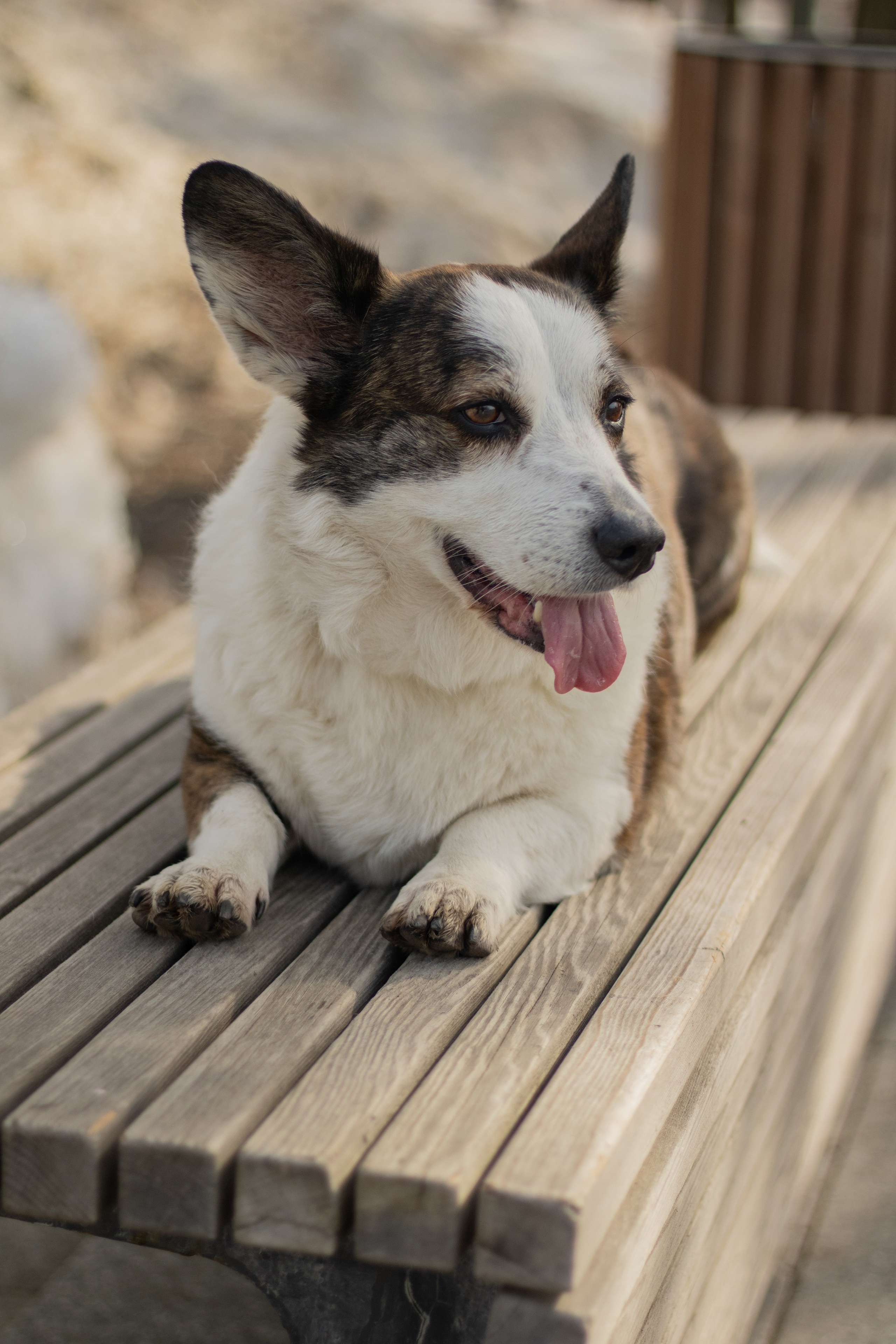 Юлия и Тэя. Катя Попова|ЛайфСтайл фотограф